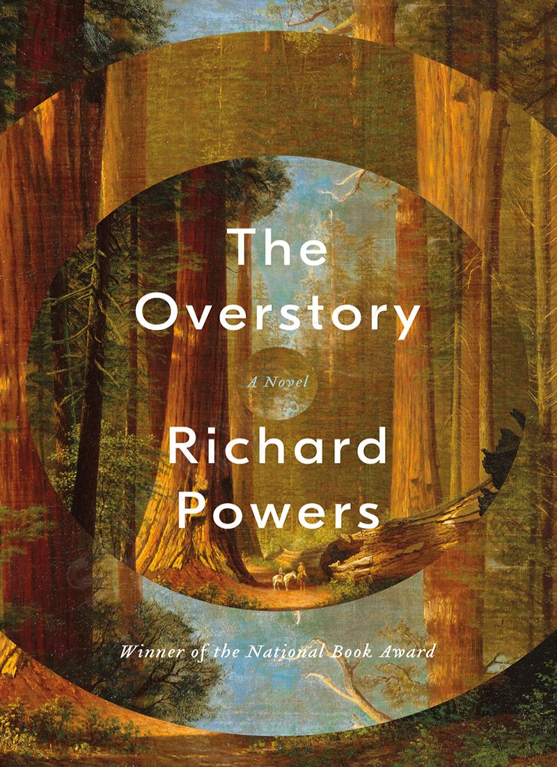 The Overstory Model.Title