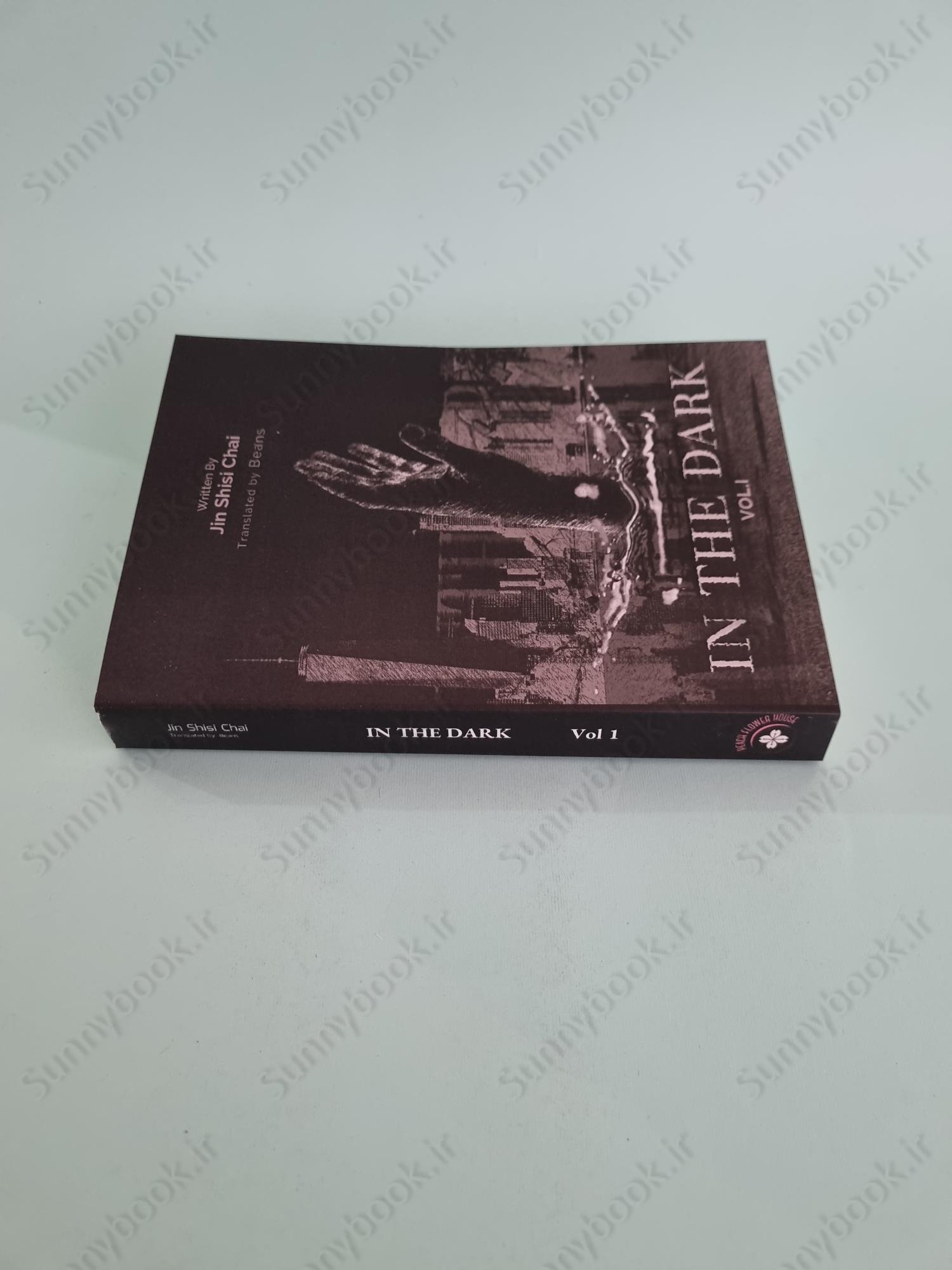 In the Dark Volume 1 main 1 4