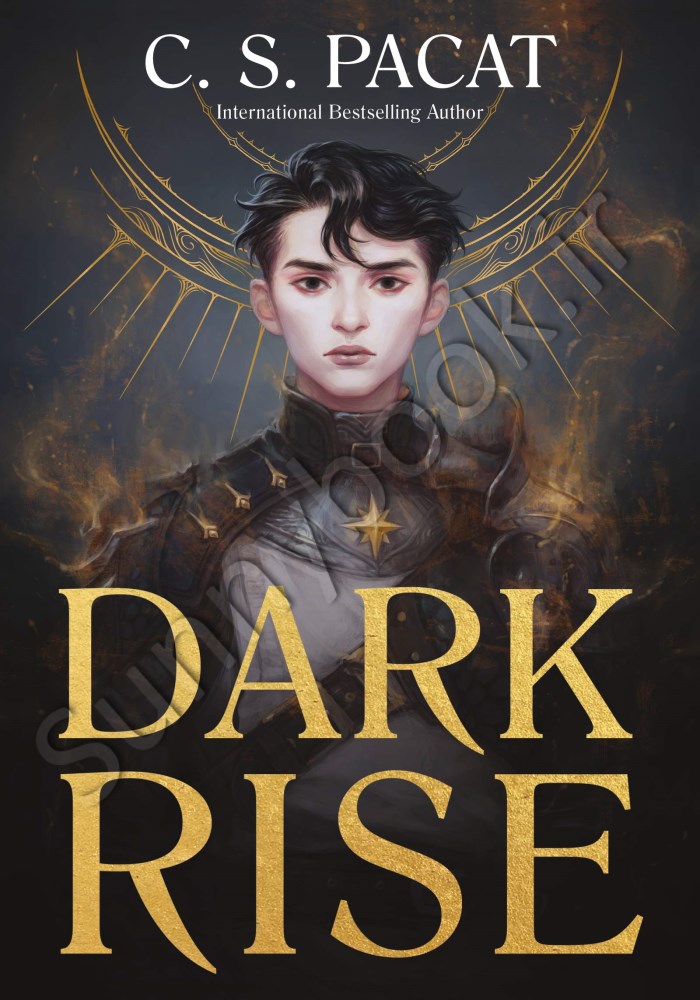 Dark Rise book 1 main 1 1