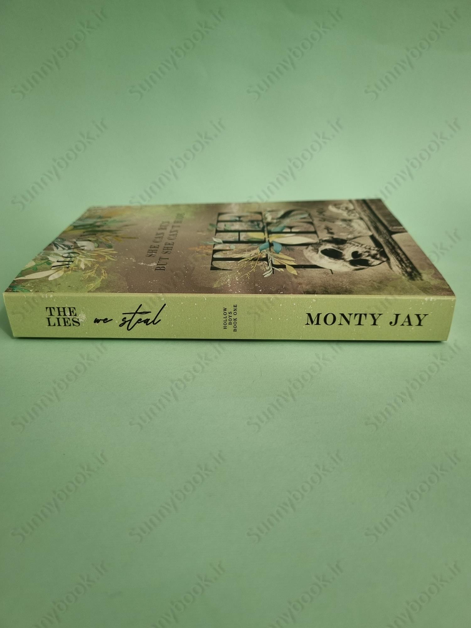 The Lies we Steal (The Hollow Boys Book 1) main 1 5