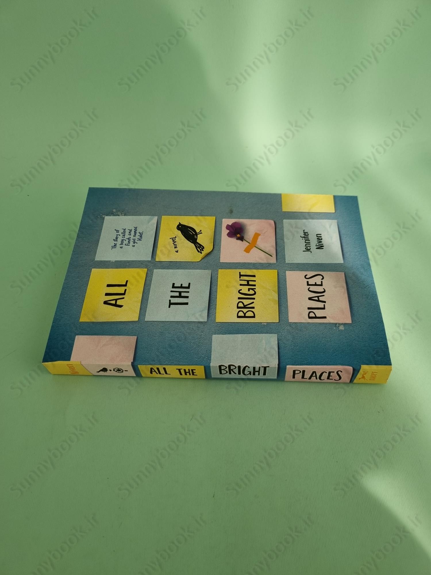 All the Bright Places main 1 4