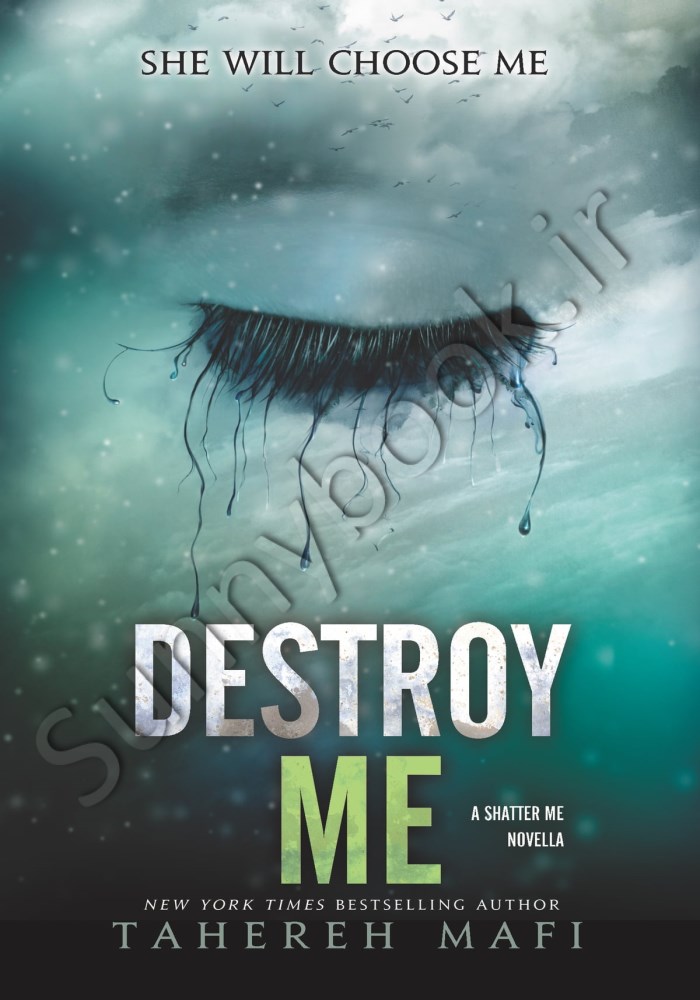 Destroy Me (Shatter Me 1.5) main 1 1