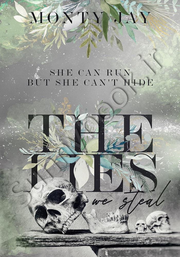 The Lies we Steal (The Hollow Boys Book 1) main 1 1