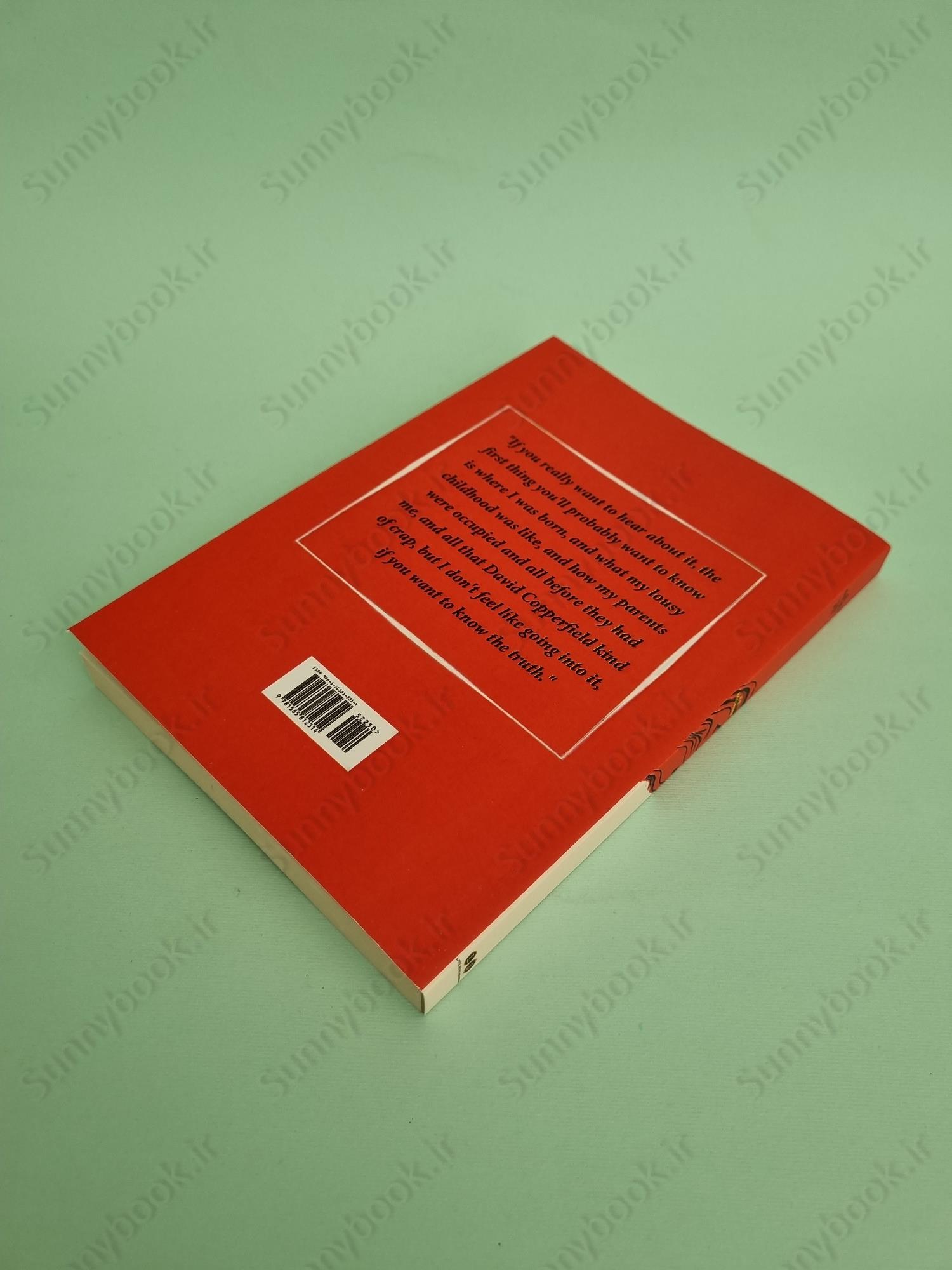 The Catcher in the Rye main 1 4