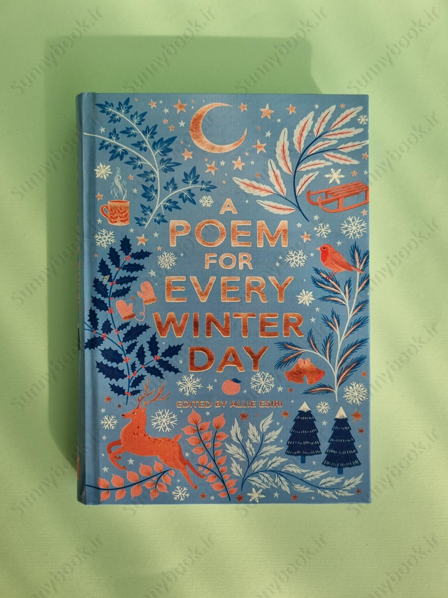 A Poem for Every Winter Day main 1 2