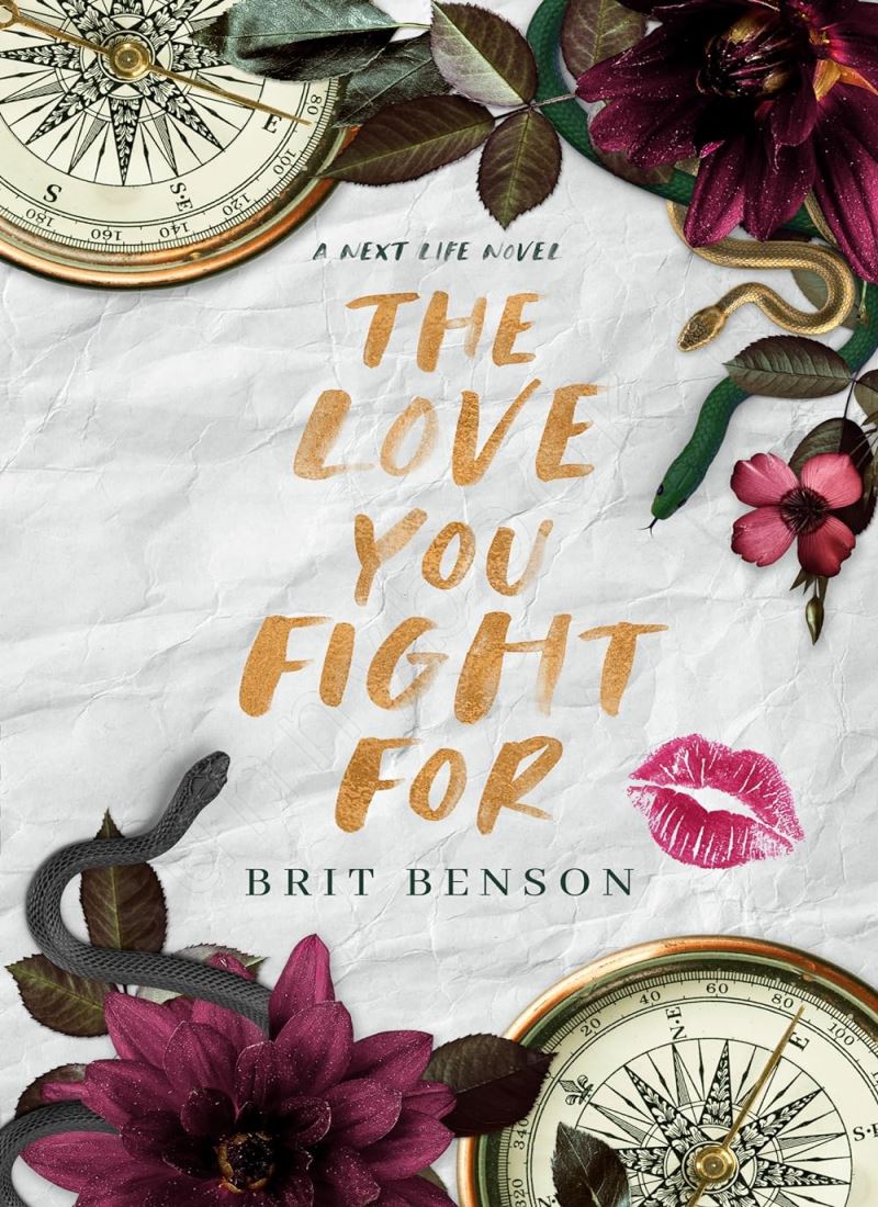 The Love You Fight For (Next Life 3) main 1 1