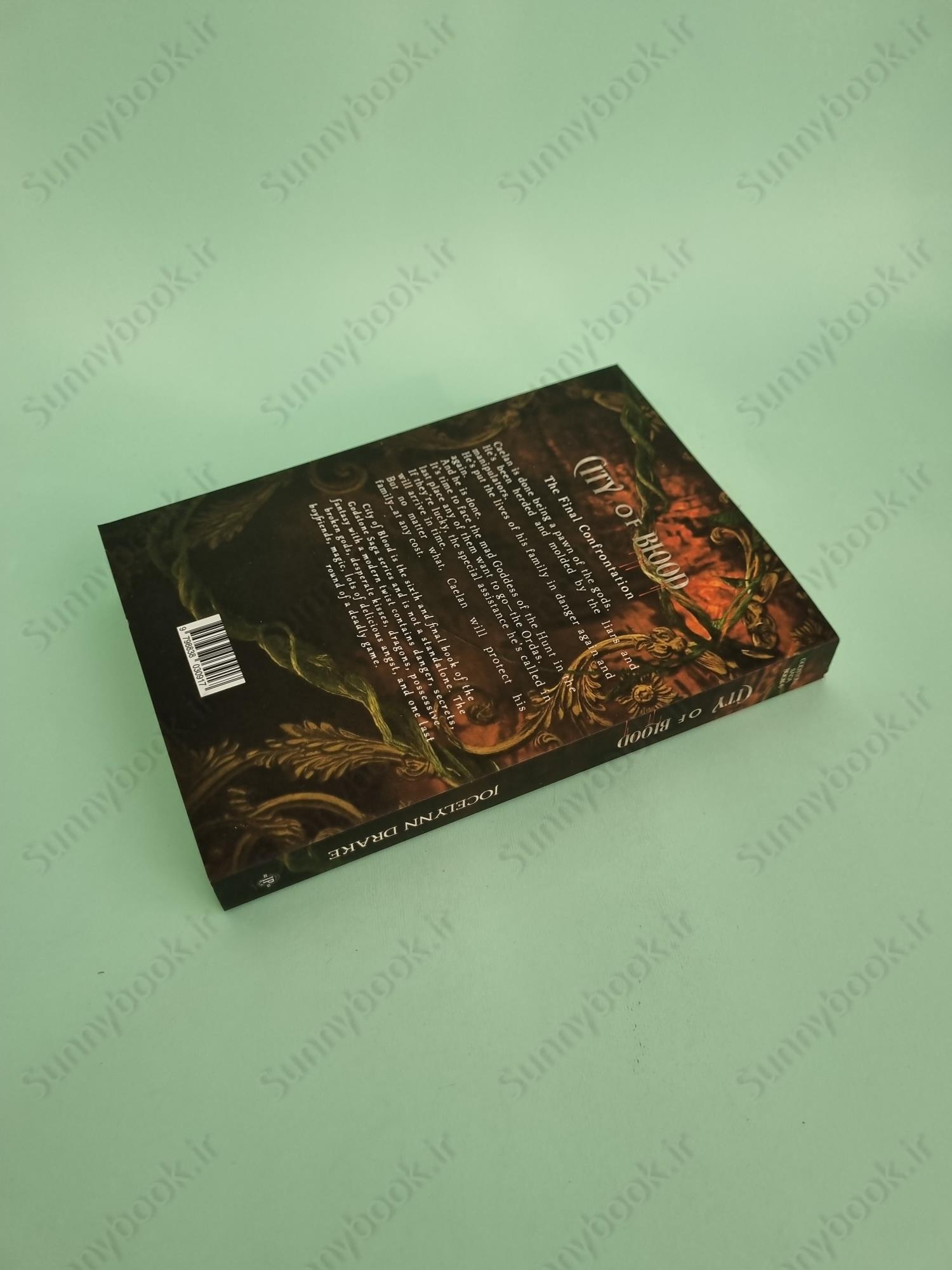 City of Blood (Godstone Saga 6) main 1 5