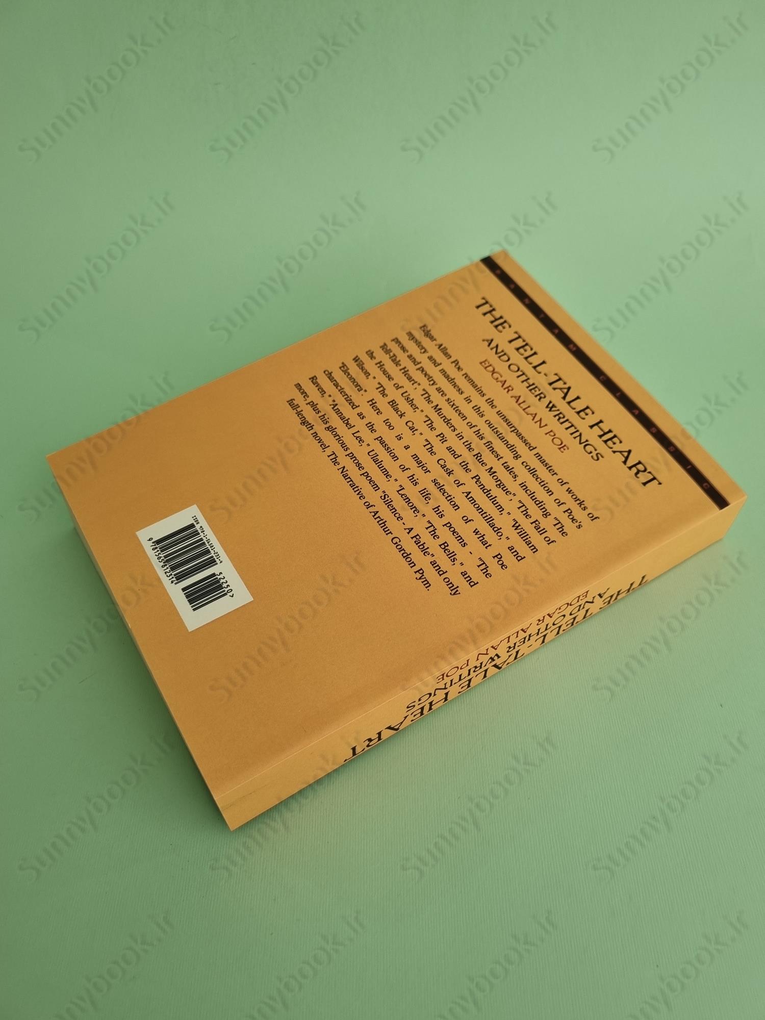 The Tell-Tale Heart and Other Writings main 1 4