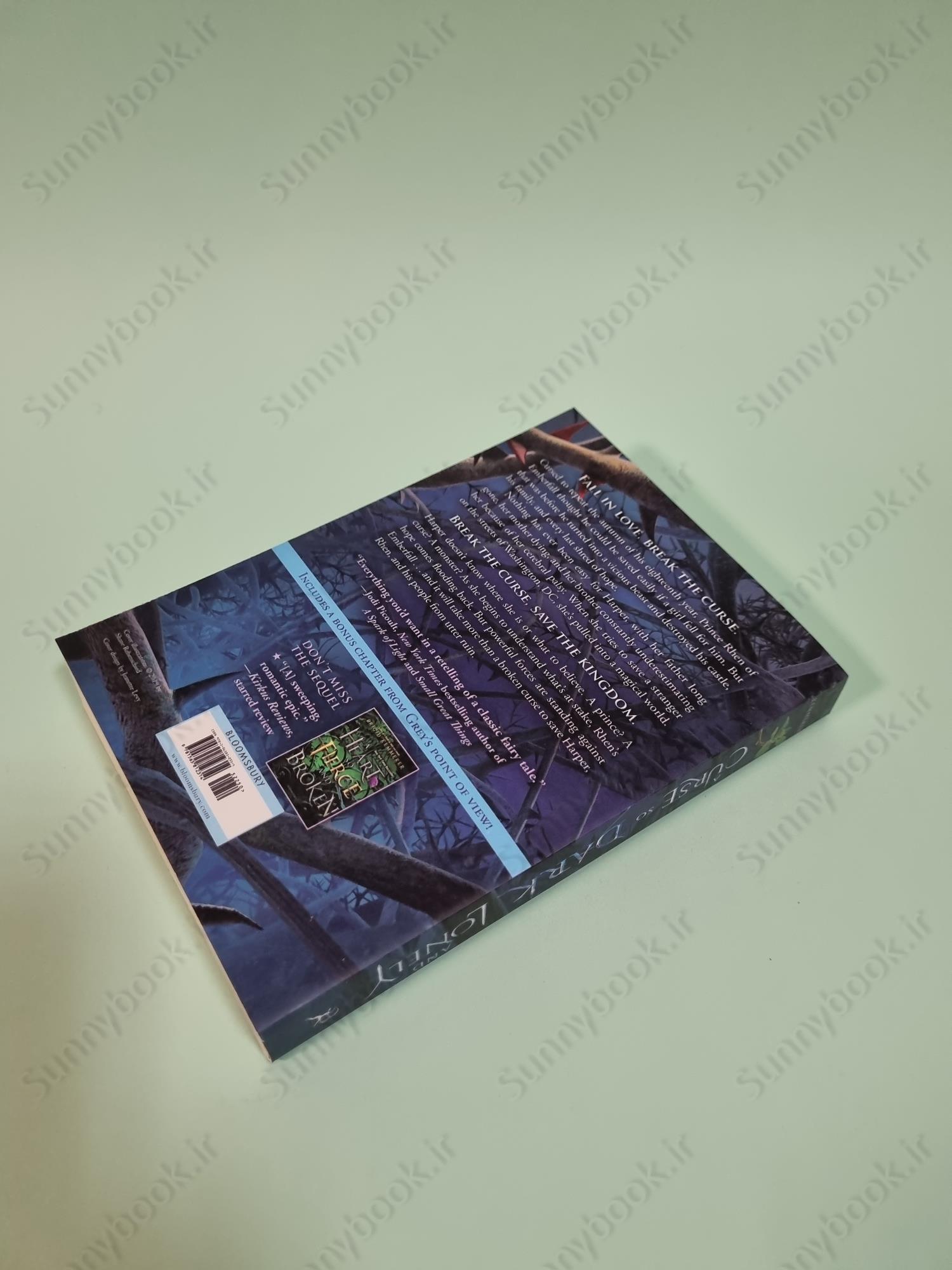 A Curse So Dark and Lonely (Cursebreakers 1) main 1 5