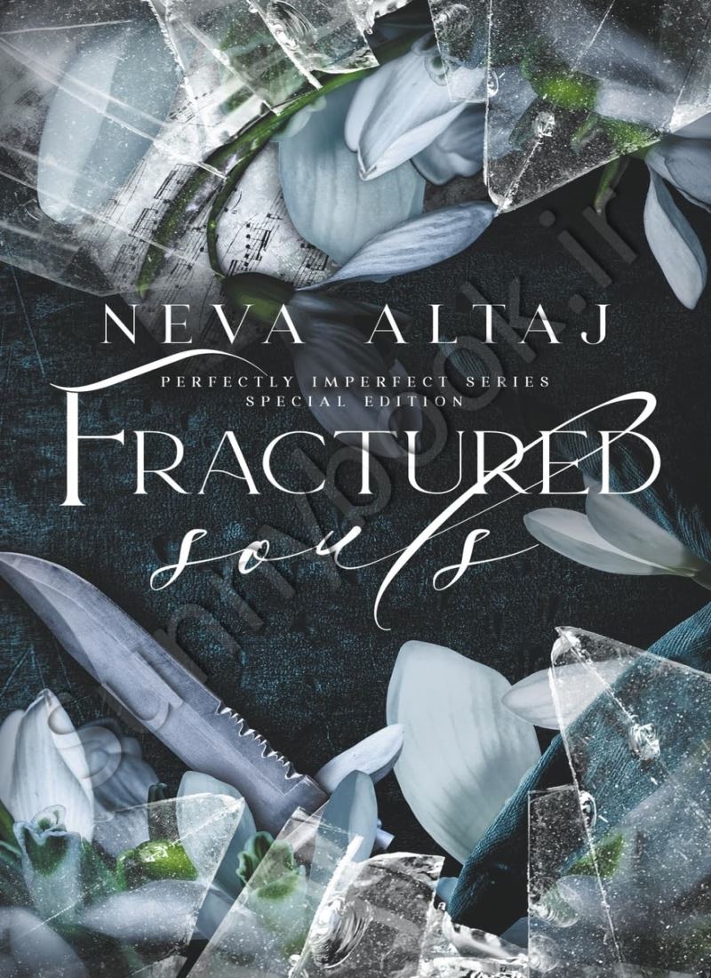 Fractured Souls (Perfectly Imperfect 6) main 1 1