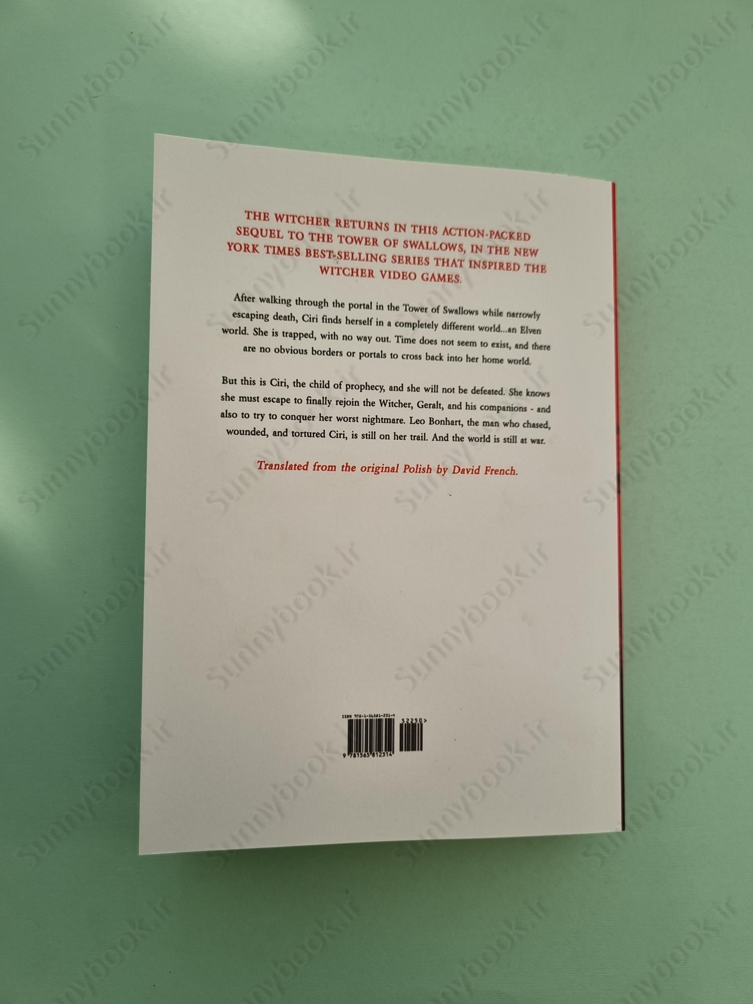 The Lady of the Lake (The Witcher, 7) main 1 3