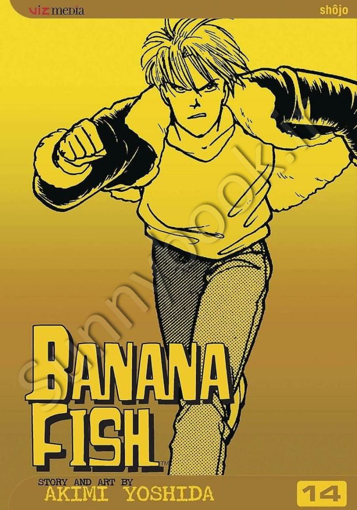 Banana Fish, Vol. 14 main 1 1