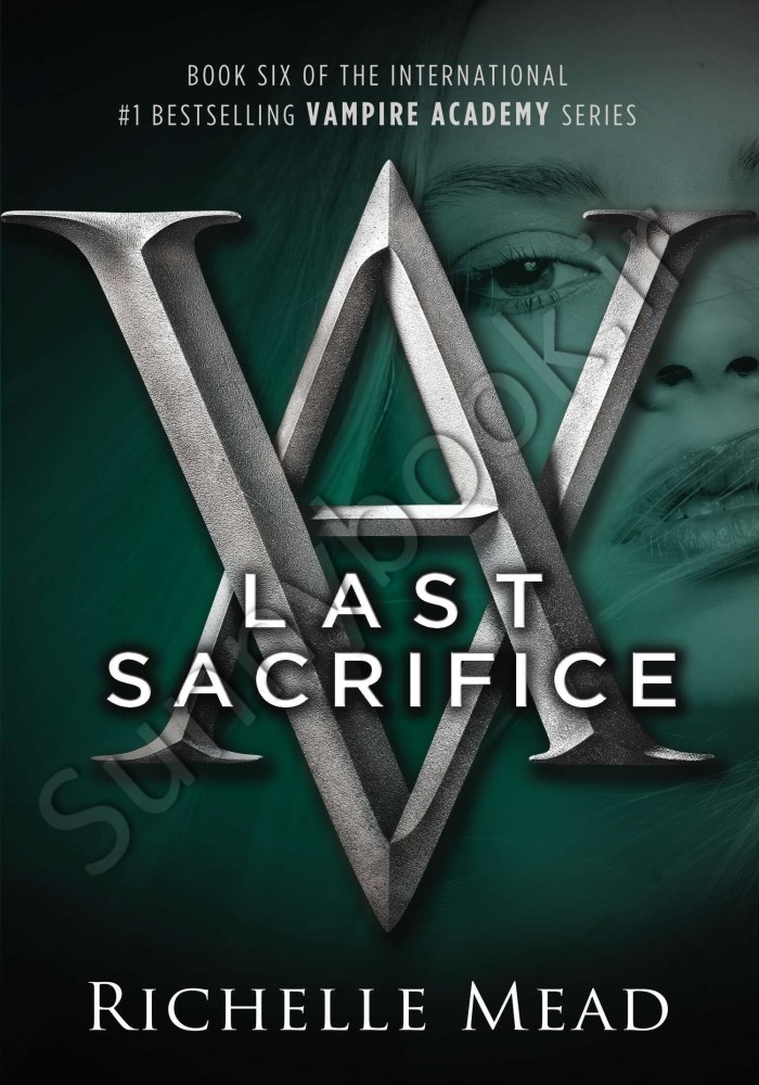 Last Sacrifice (Vampire Academy 6) main 1 1