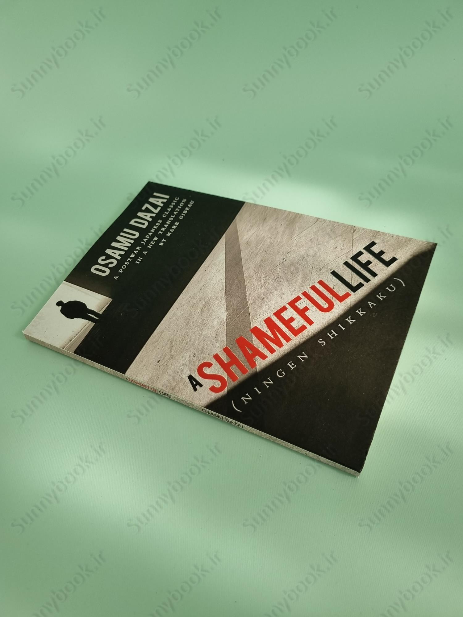 A Shameful Life main 1 3