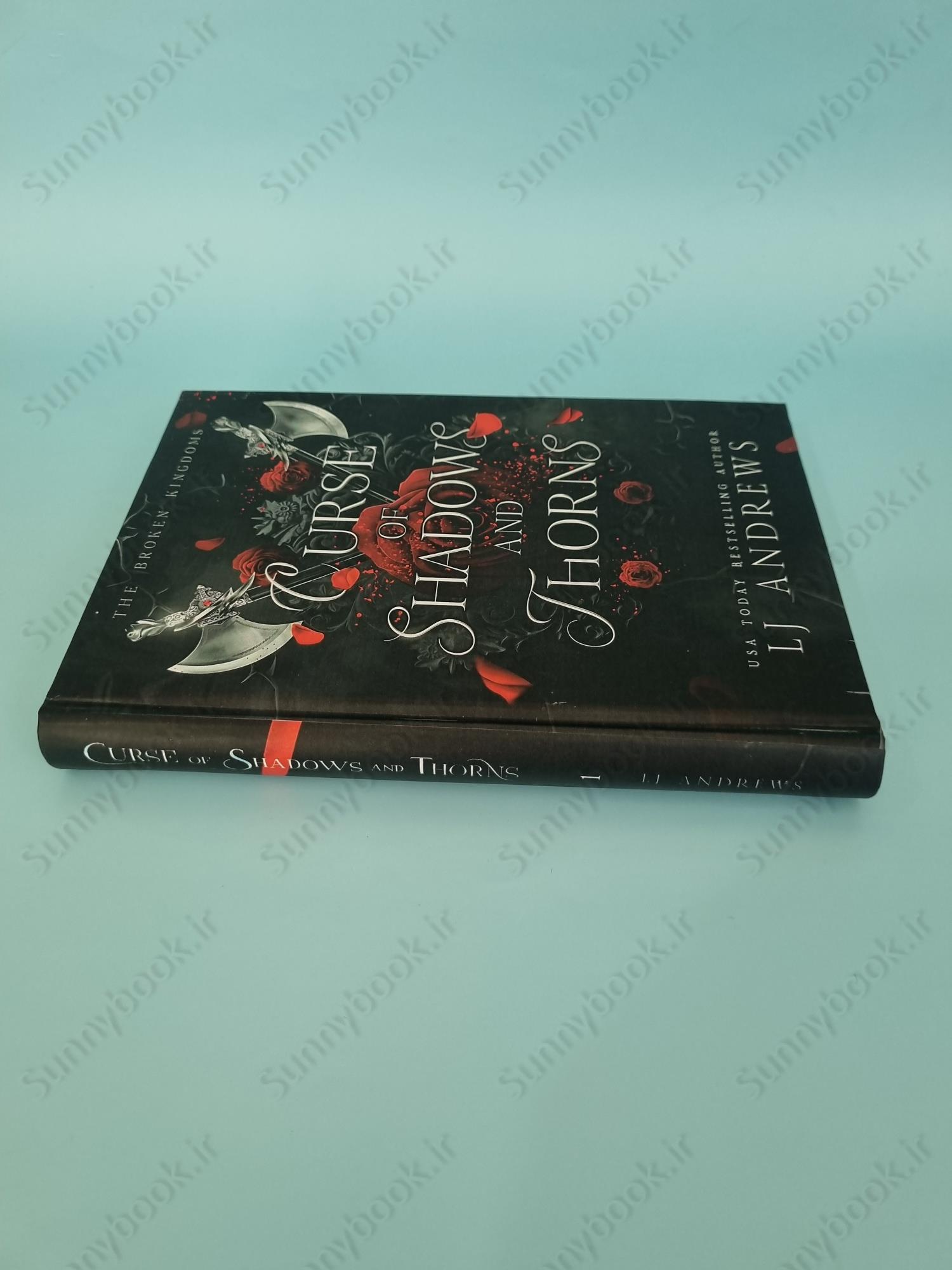 Curse of Shadows and Thorns (The Broken Kingdoms 1) main 1 5