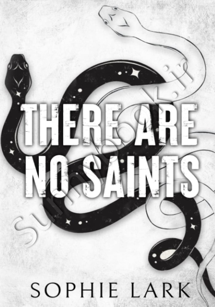 There Are No Saints (Sinners Duet Book 1) main 1 1