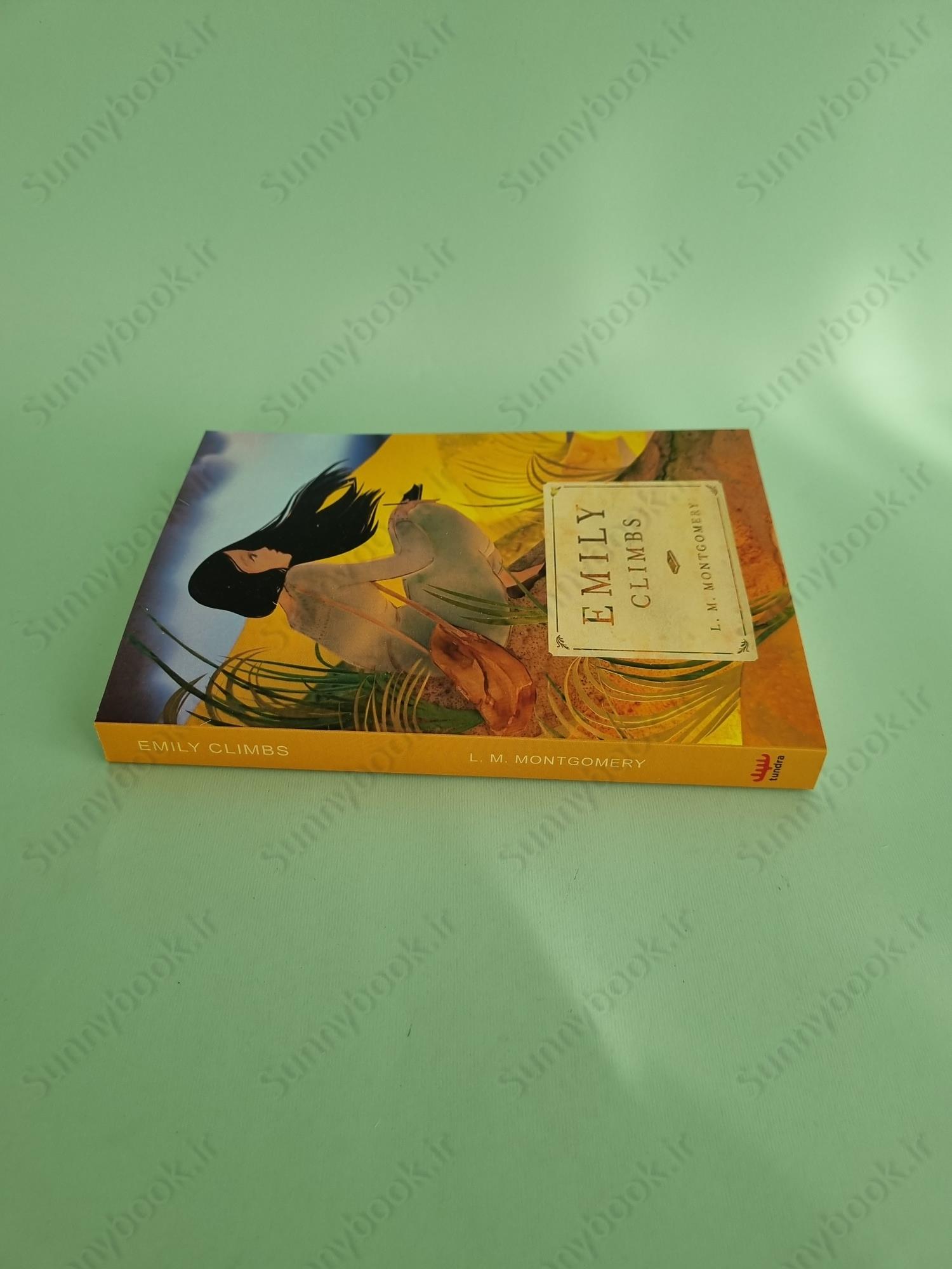 Emily Climbs (The Emily Trilogy Book 2) main 1 4