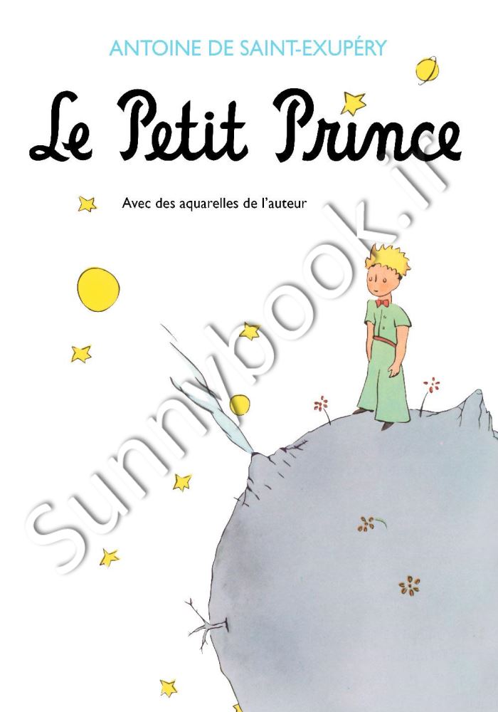 Le Petit Prince main 1 1