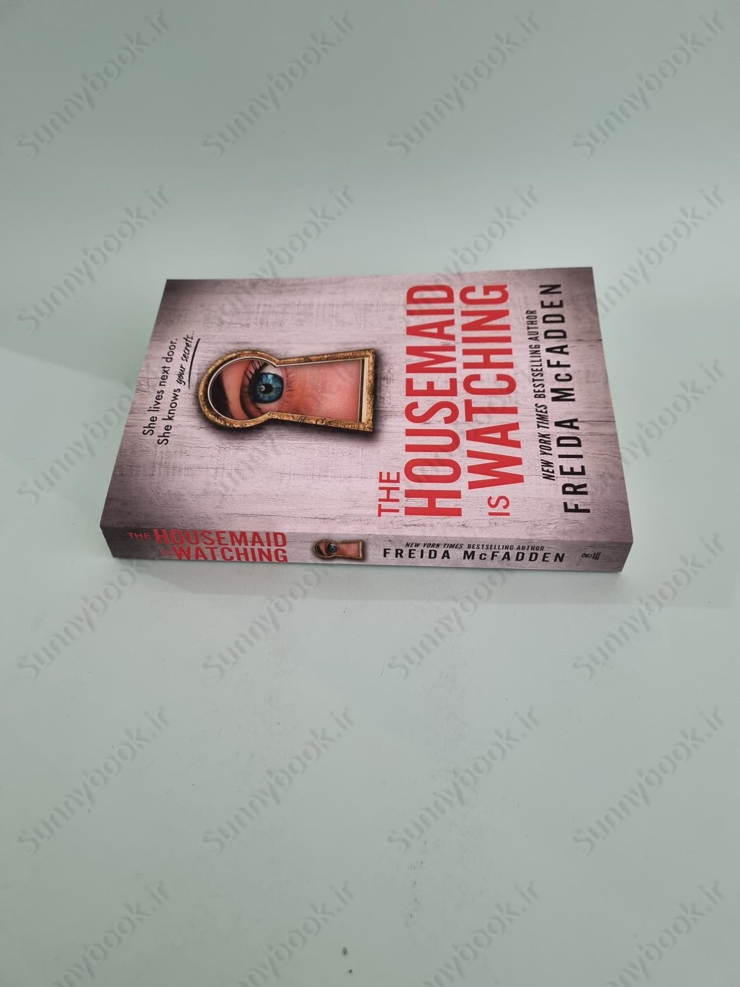 The Housemaid Is Watching main 1 4