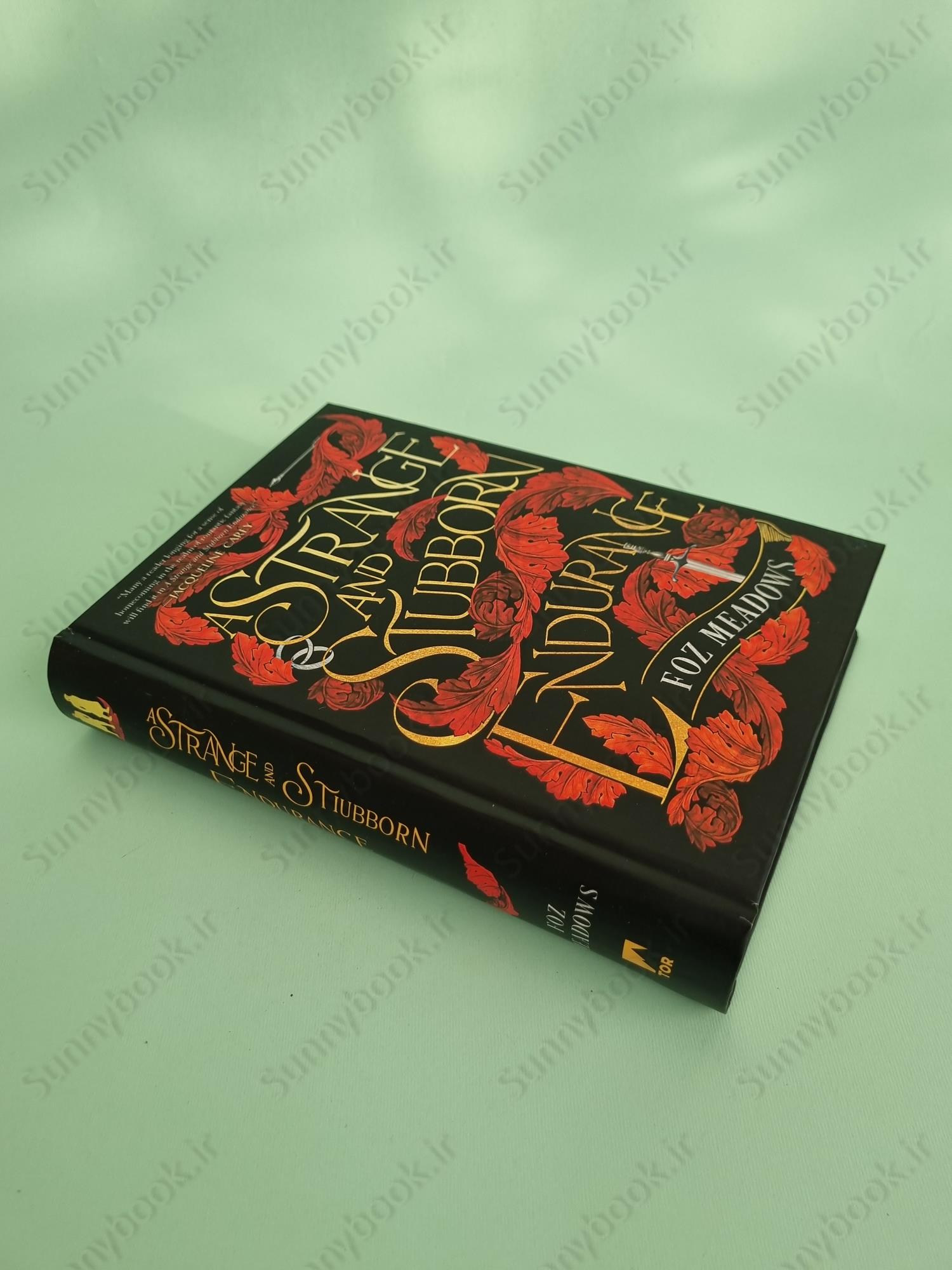 A Strange and Stubborn Endurance (The Tithenai Chronicles 1) main 1 3