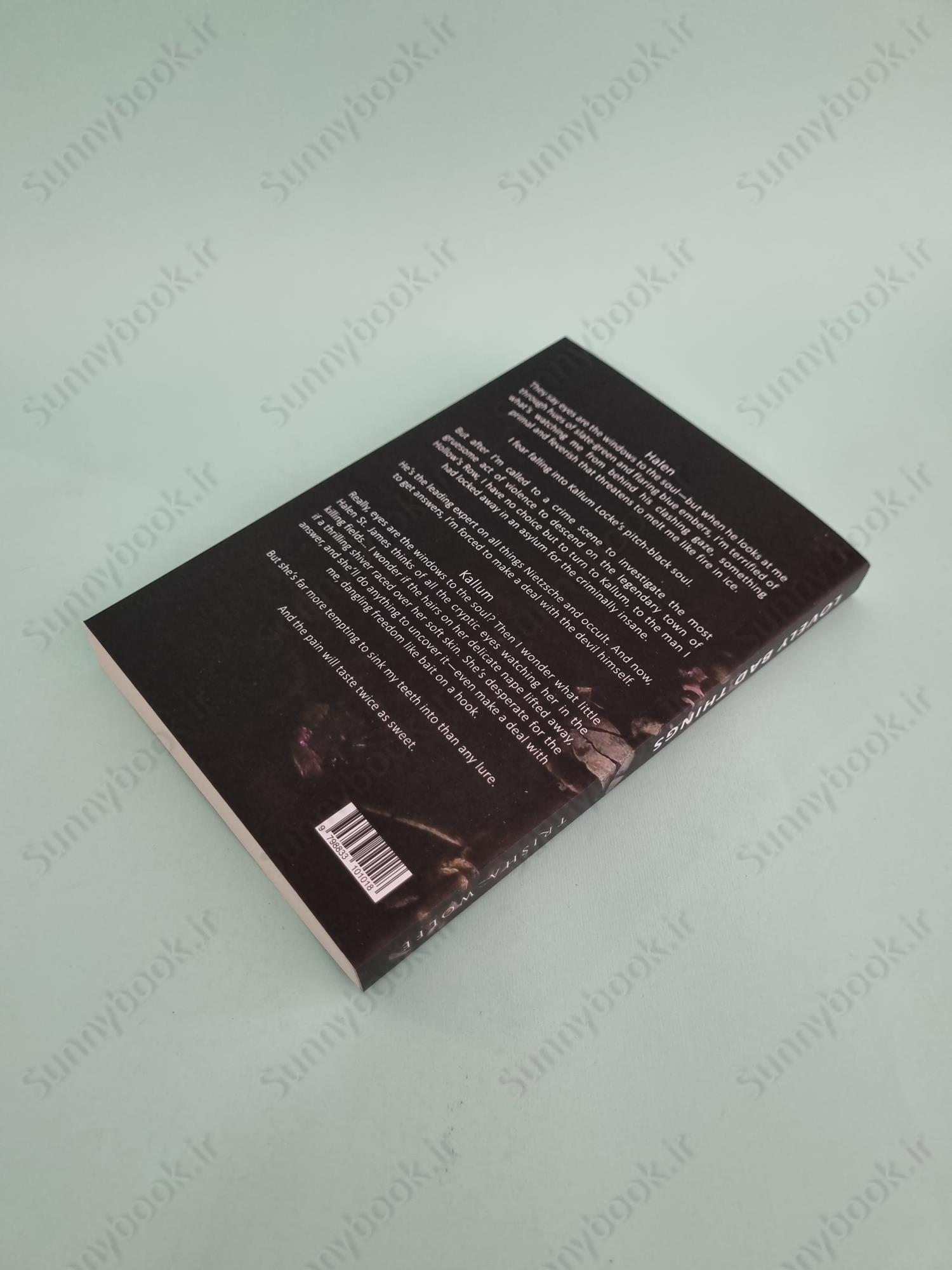 Lovely Bad Things (Hollow's Row 1) main 1 5