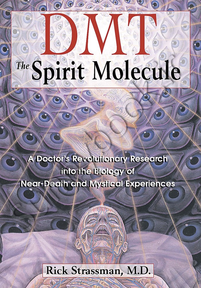 DMT: The Spirit Molecule main 1 1