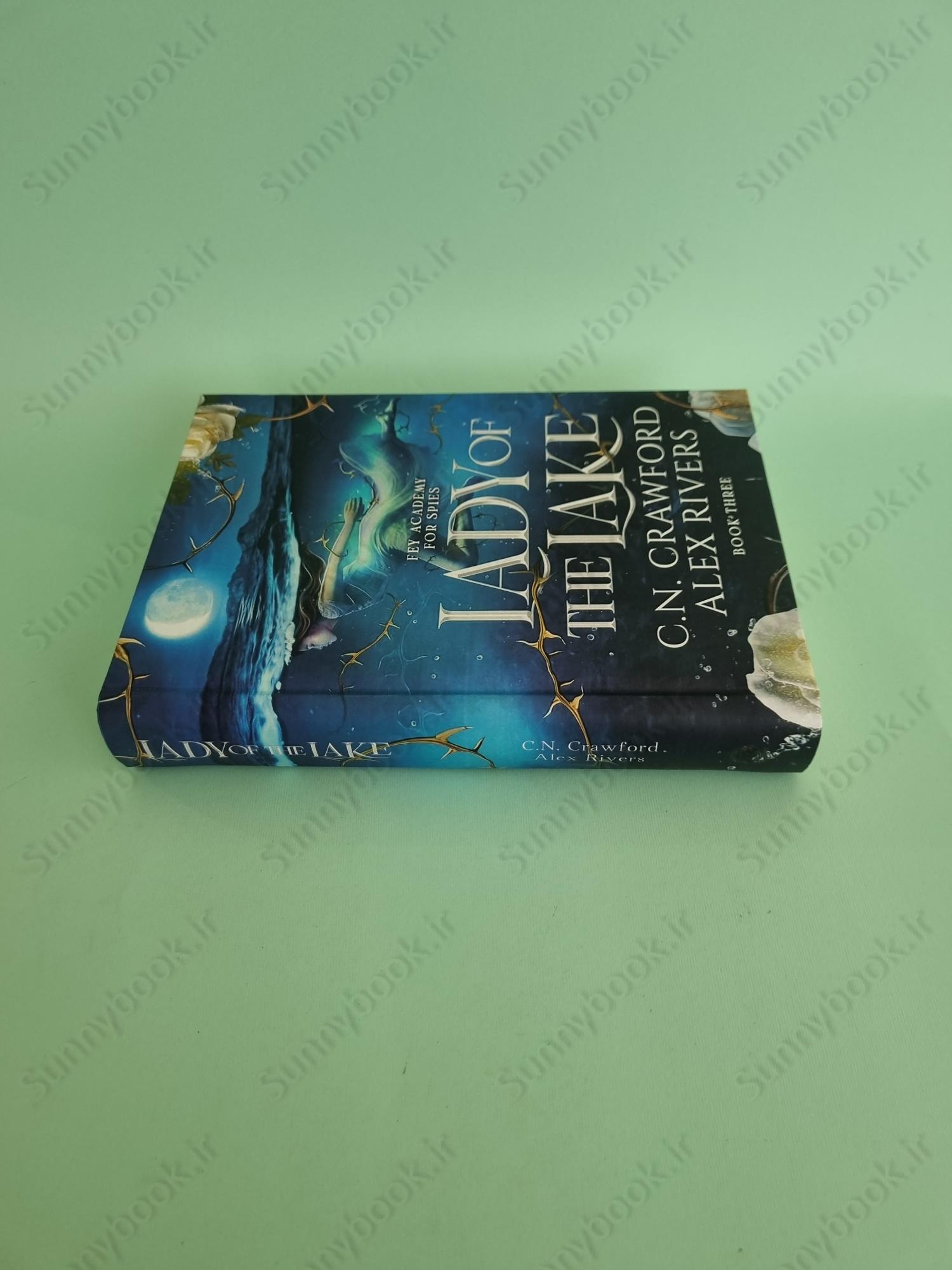 Lady of The Lake (Fey Spy Academy Book 3) main 1 4