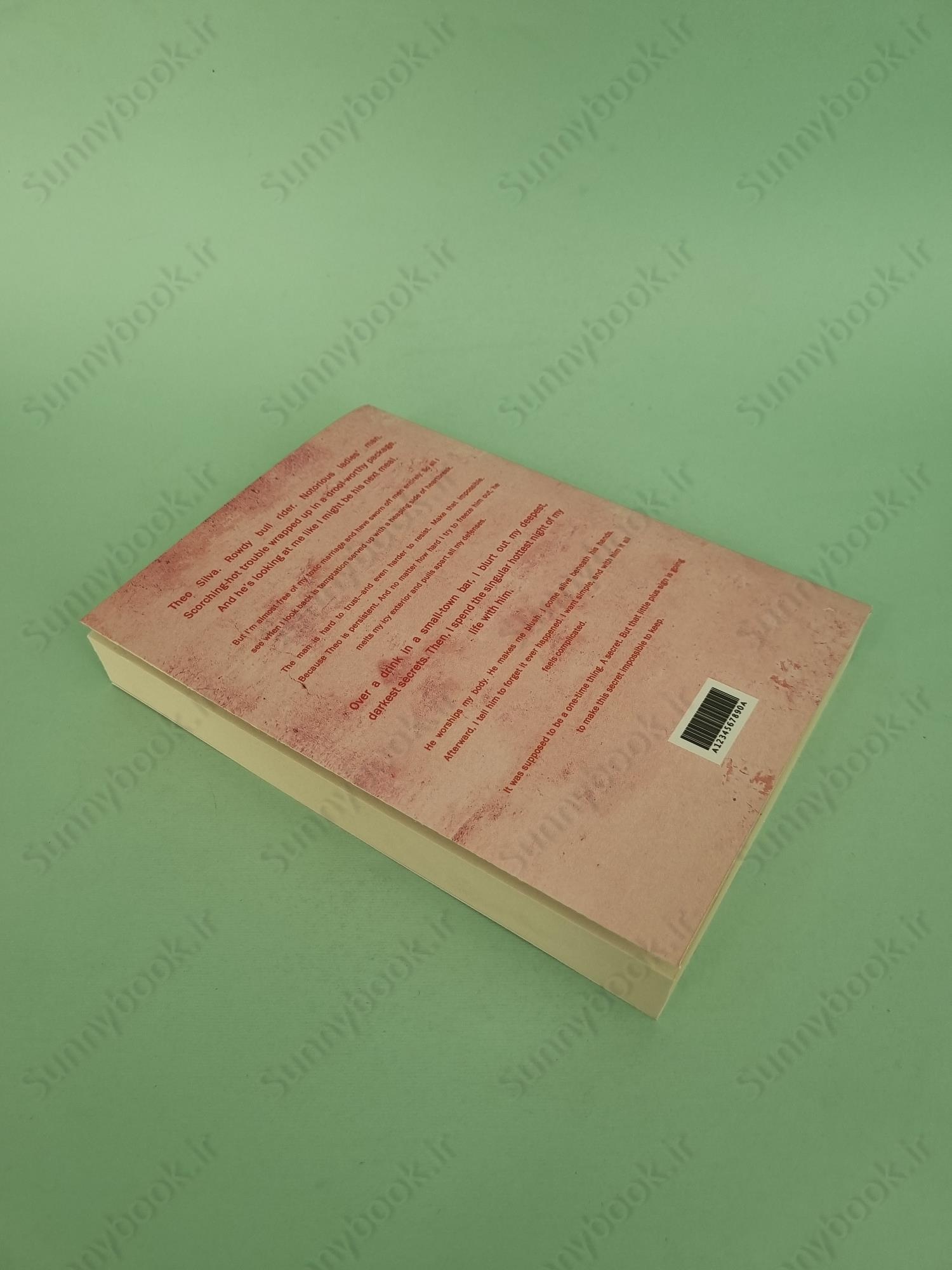 Reckless (Chestnut Springs 4) main 1 6