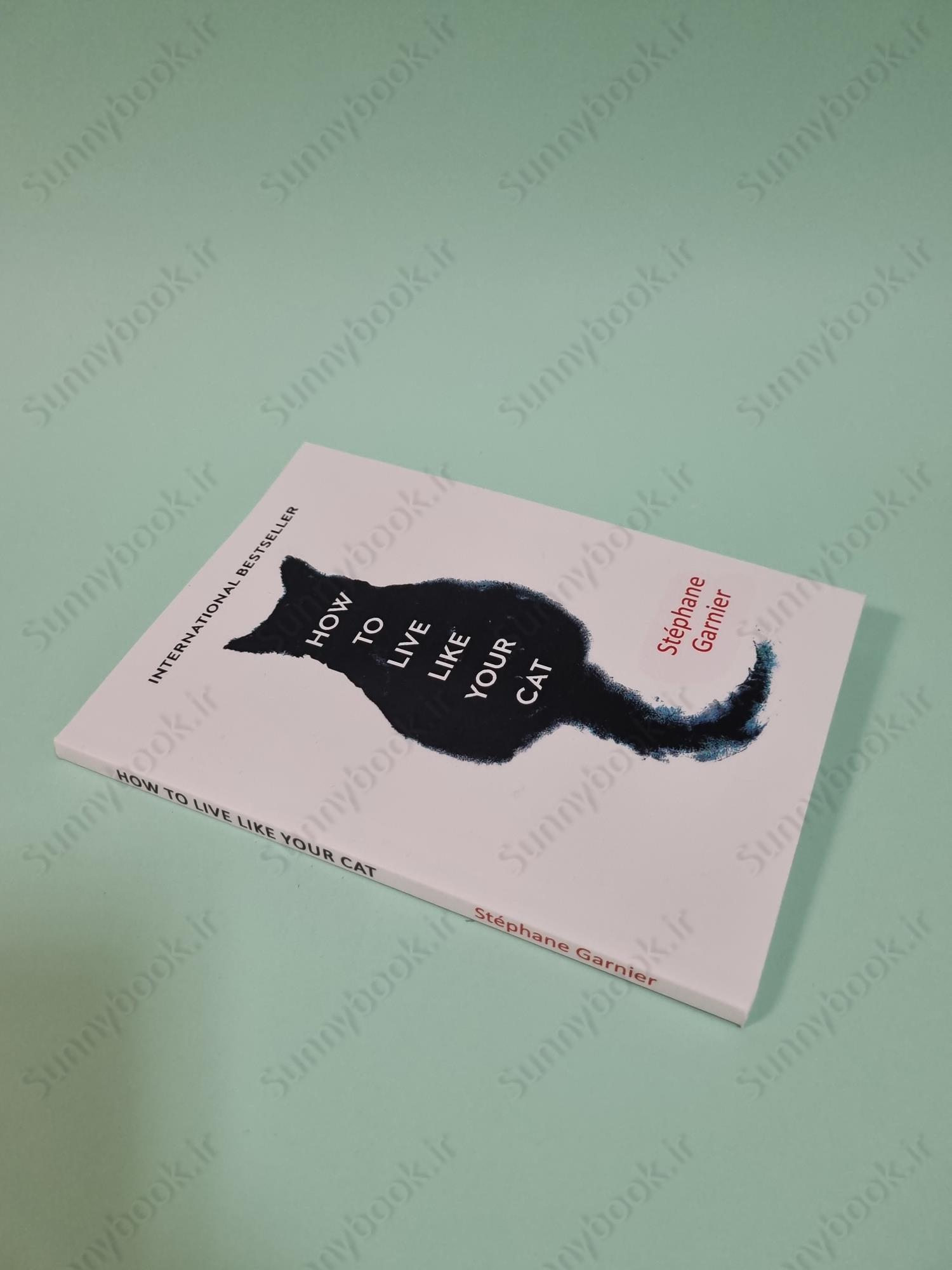 How to Live Like Your Cat main 1 3