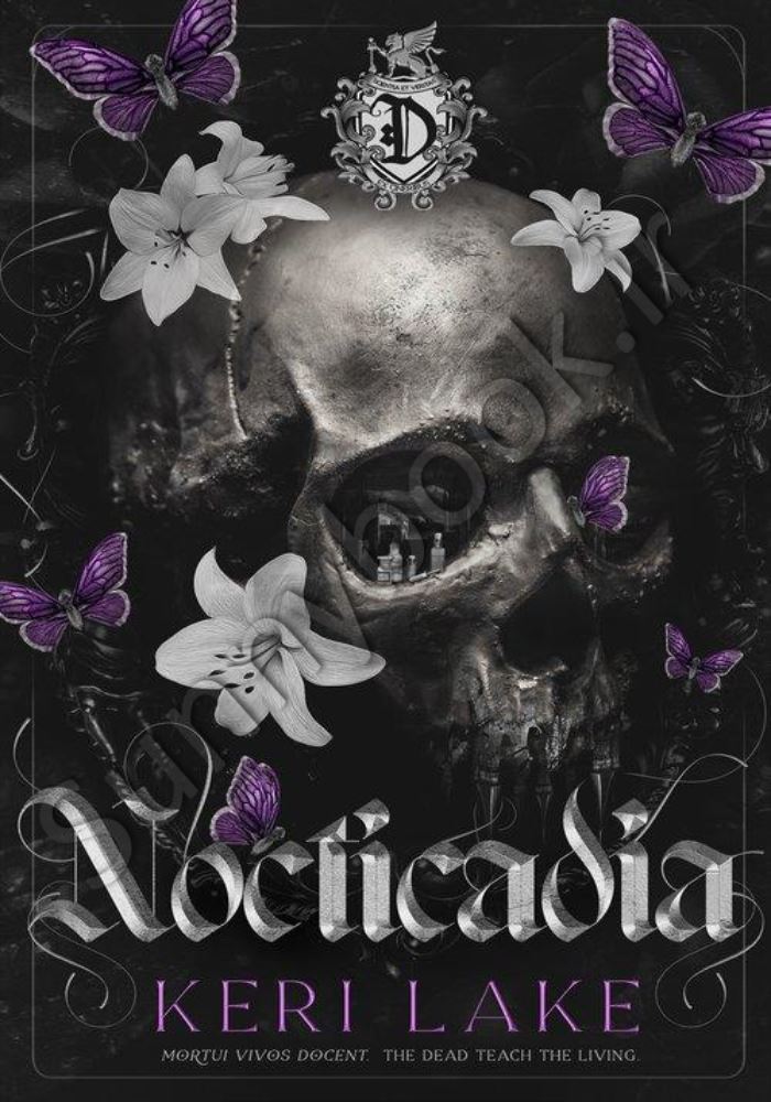 Nocticadia main 1 1