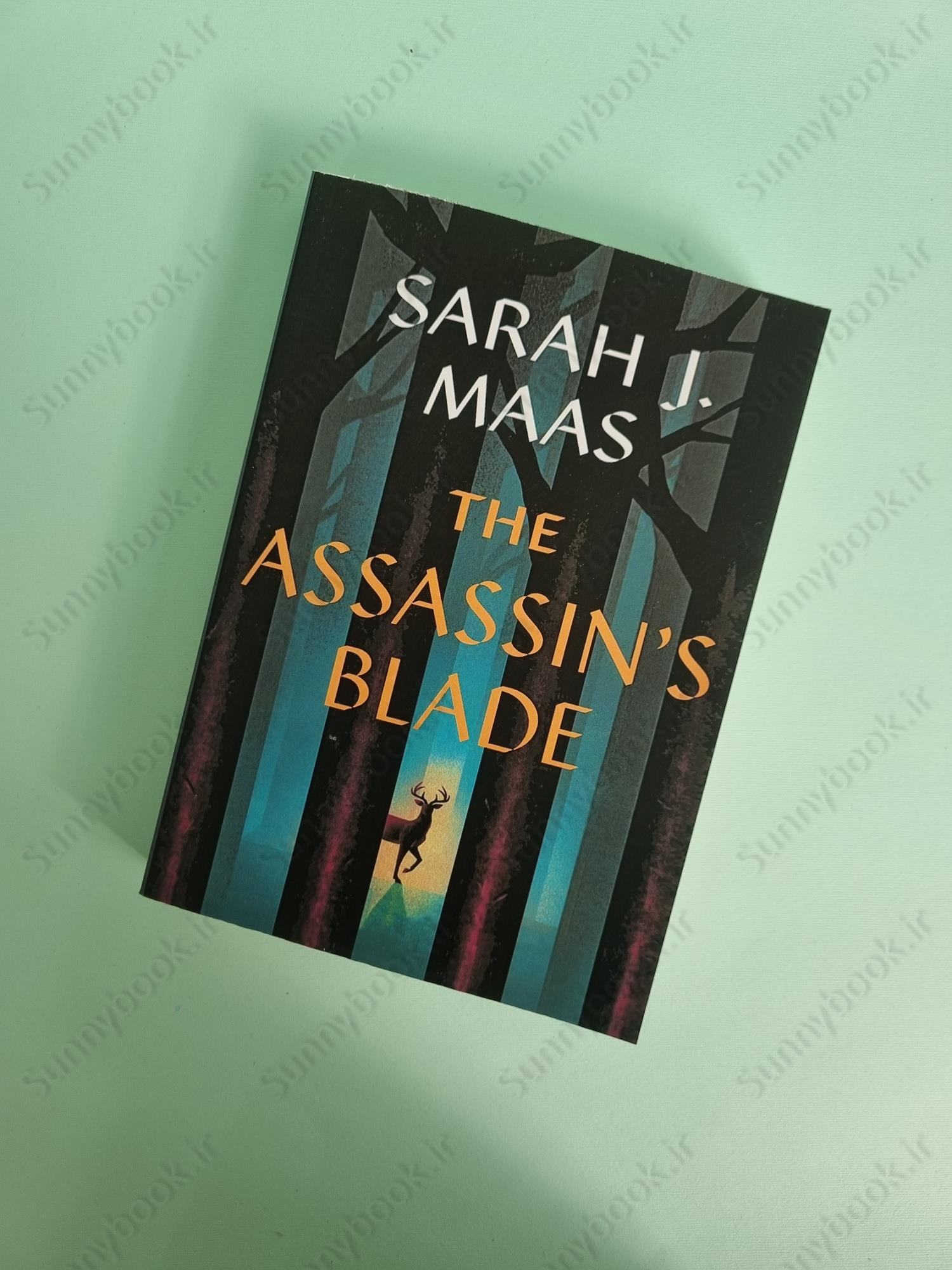 The Assassin's Blade: The Throne of Glass Prequel Novellas (Throne of Glass, 8) main 1 2