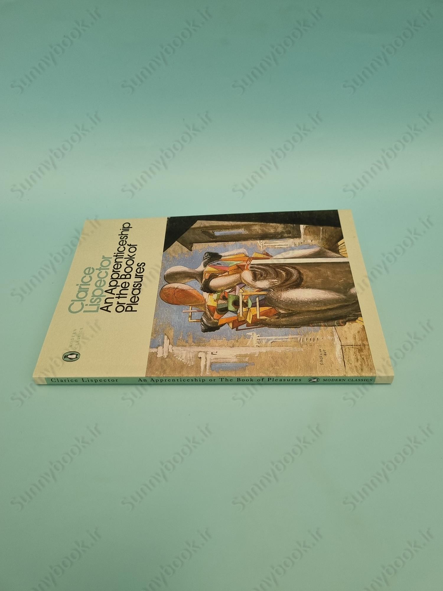 An Apprenticeship or The Book of Pleasures main 1 4