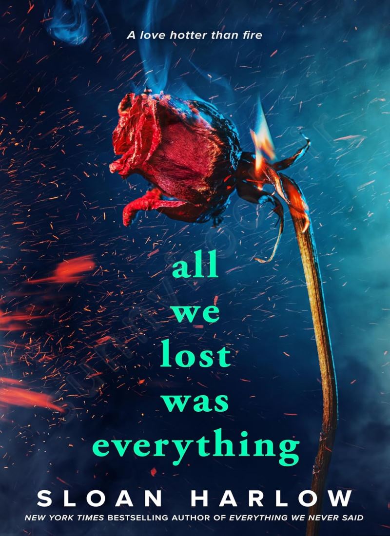 All We Lost Was Everything Model.Title