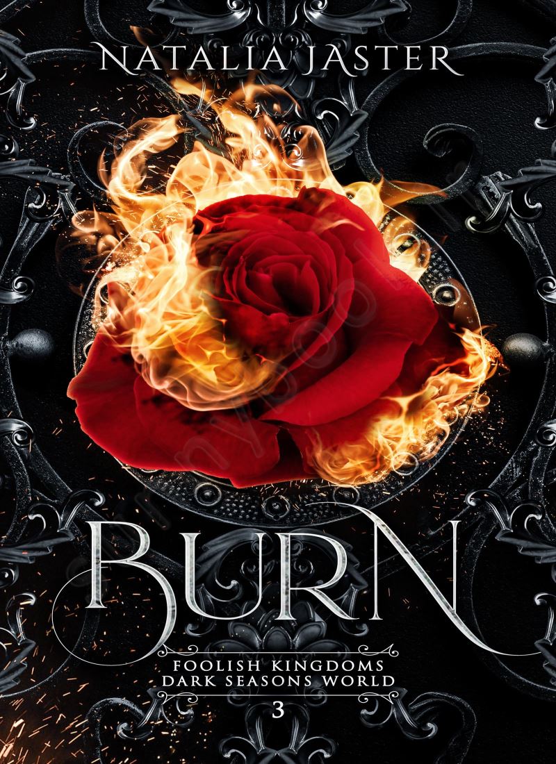 Burn (Foolish Kingdoms 3) Model.Title