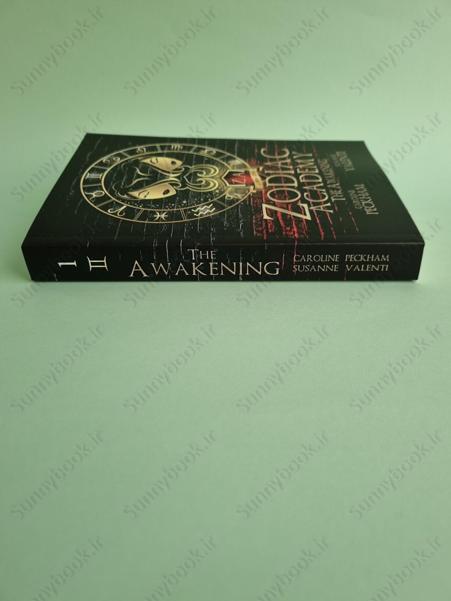 Zodiac Academy book 1: The Awakening main 1 4