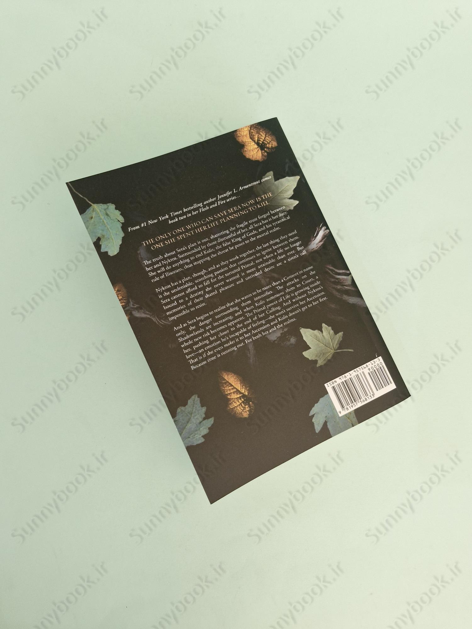 A Light in the Flame (A Flesh and Fire 2) main 1 4