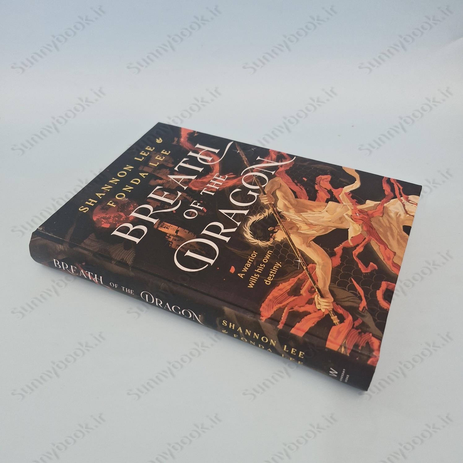 Breath of the Dragon (Breathmarked 1) main 1 5