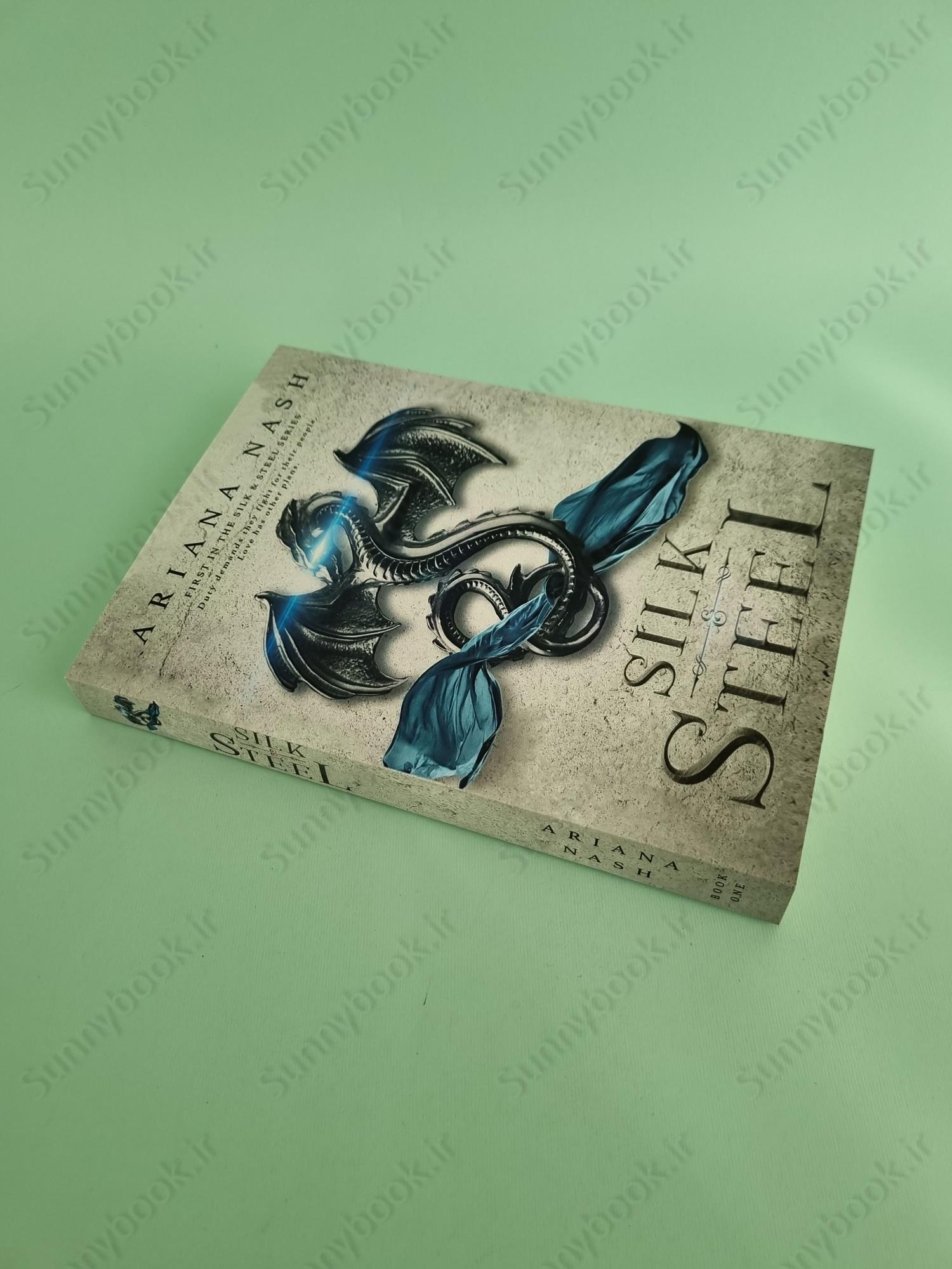 Silk & Steel (Silk and Steel 1) main 1 3