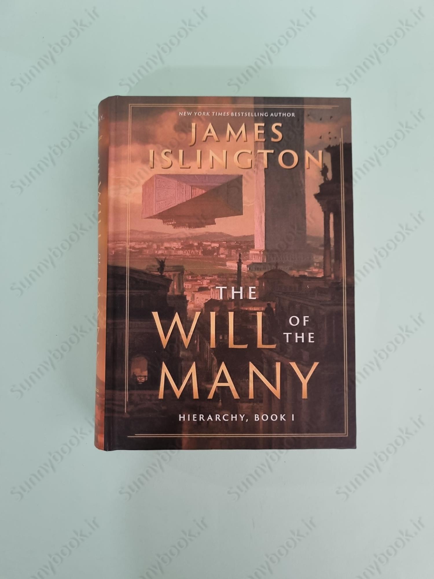 The Will of the Many (Hierarchy Book 1) main 1 2