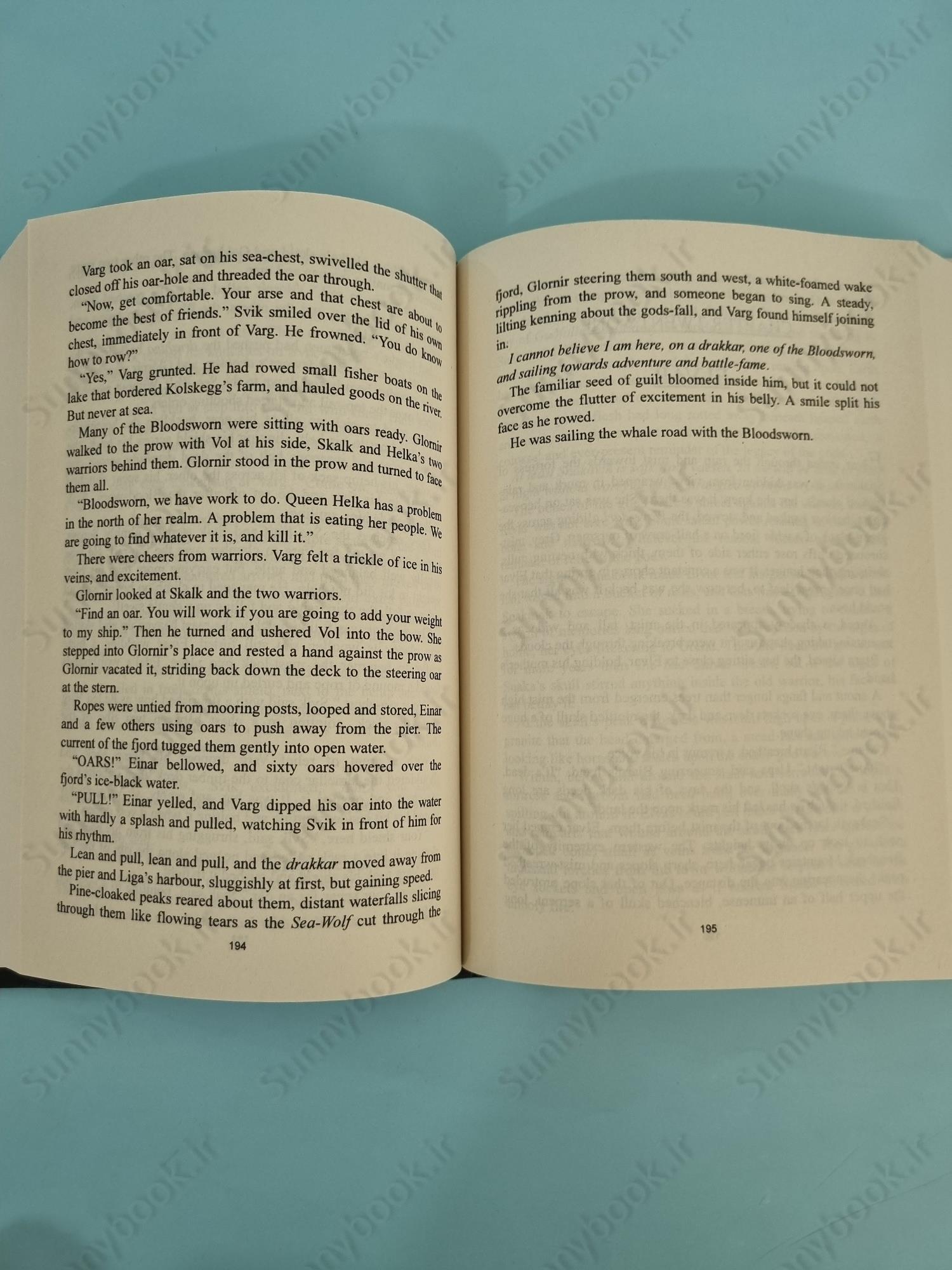 The Shadow of the Gods (Bloodsworn Saga 1) main 1 6