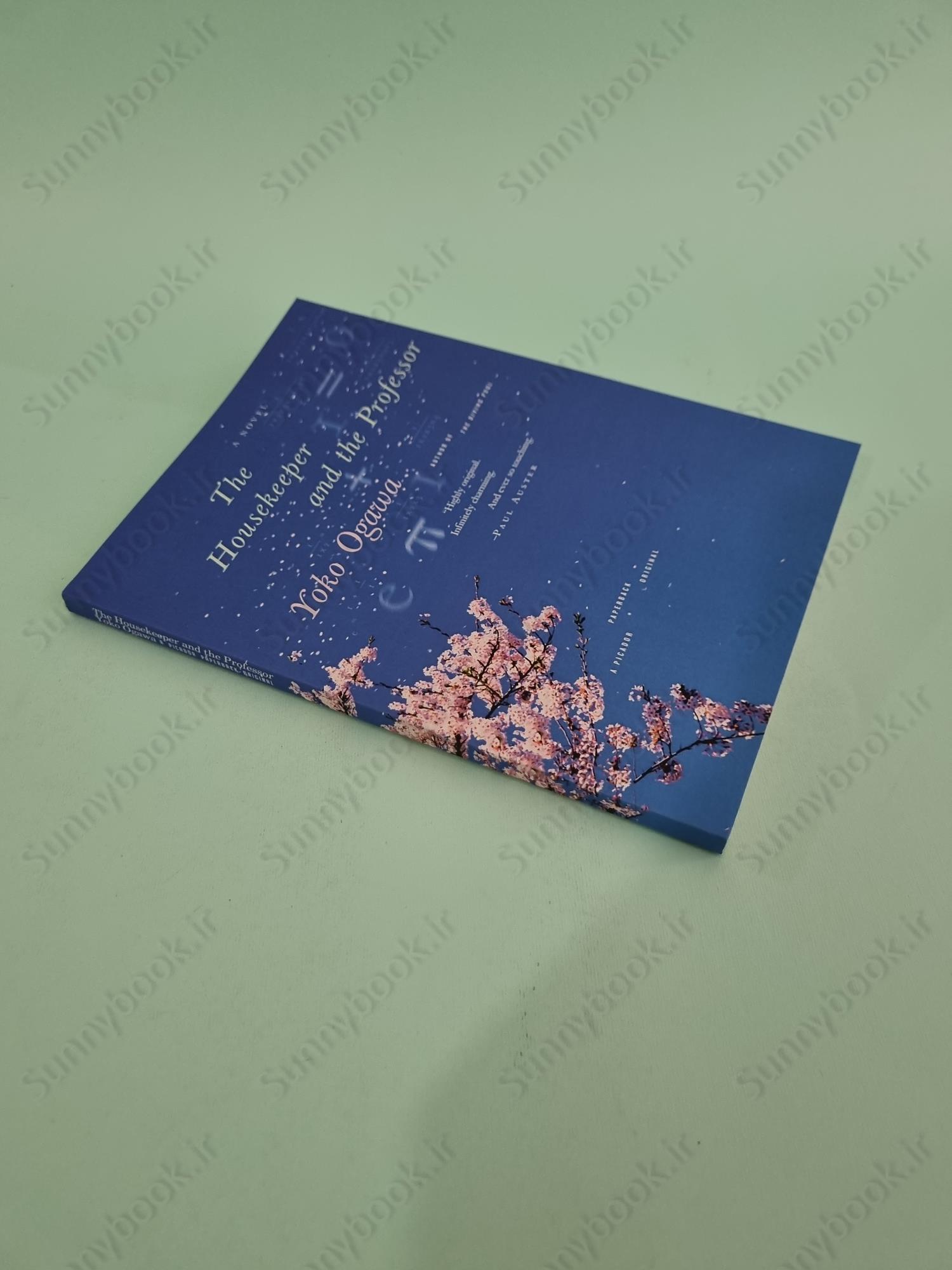 The Housekeeper and the Professor main 1 3