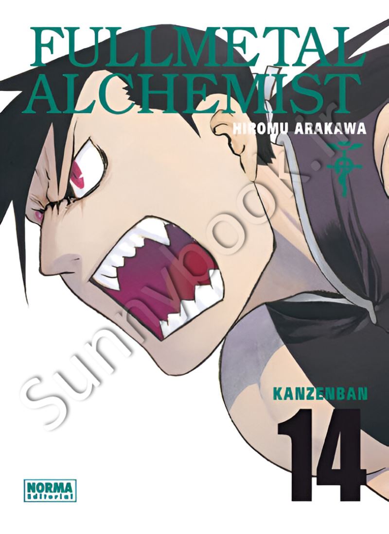 Fullmetal Alchemist , Vol. 14 main 1 1