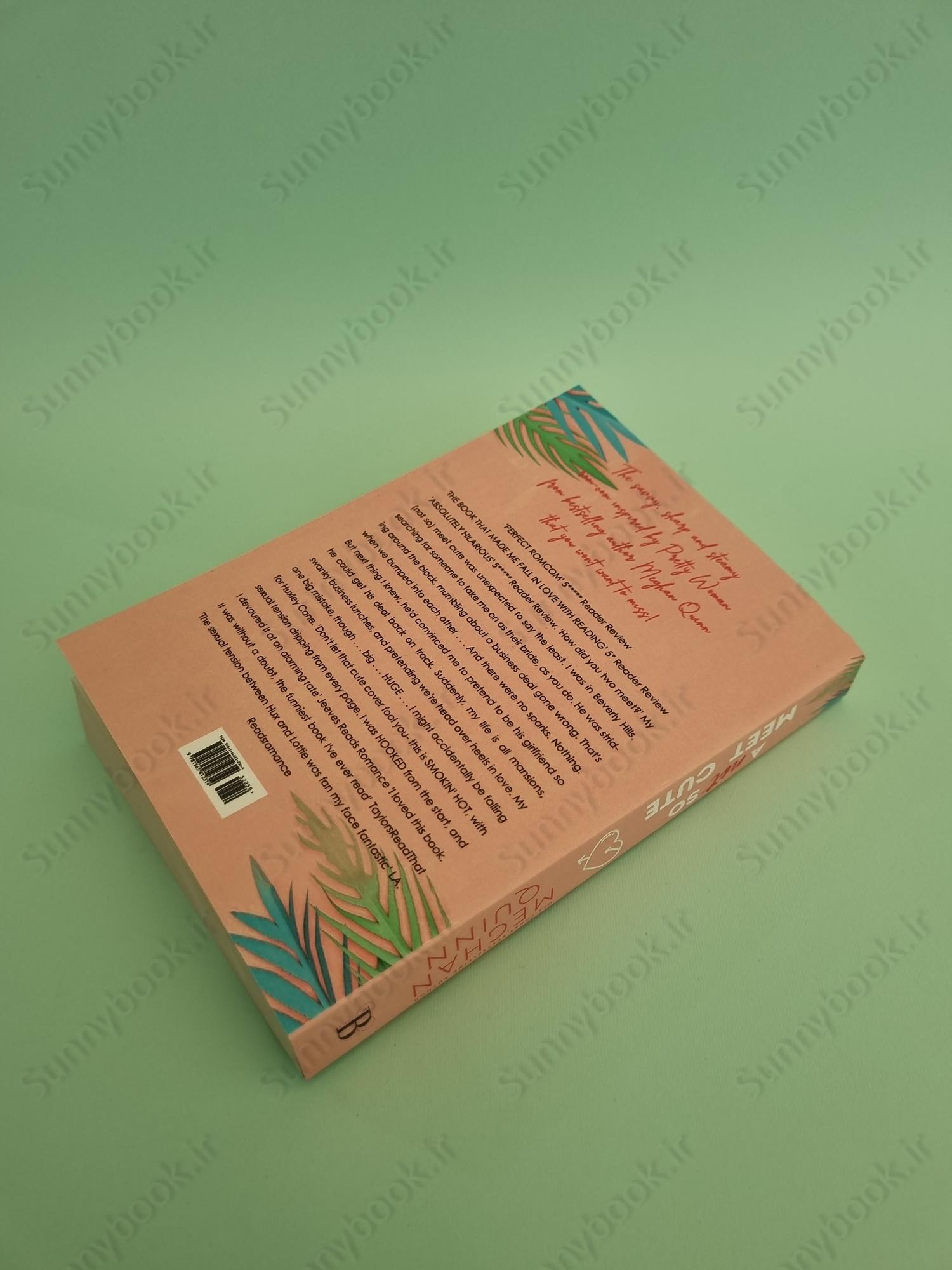 A Not So Meet Cute (Cane Brothers, 1) main 1 4