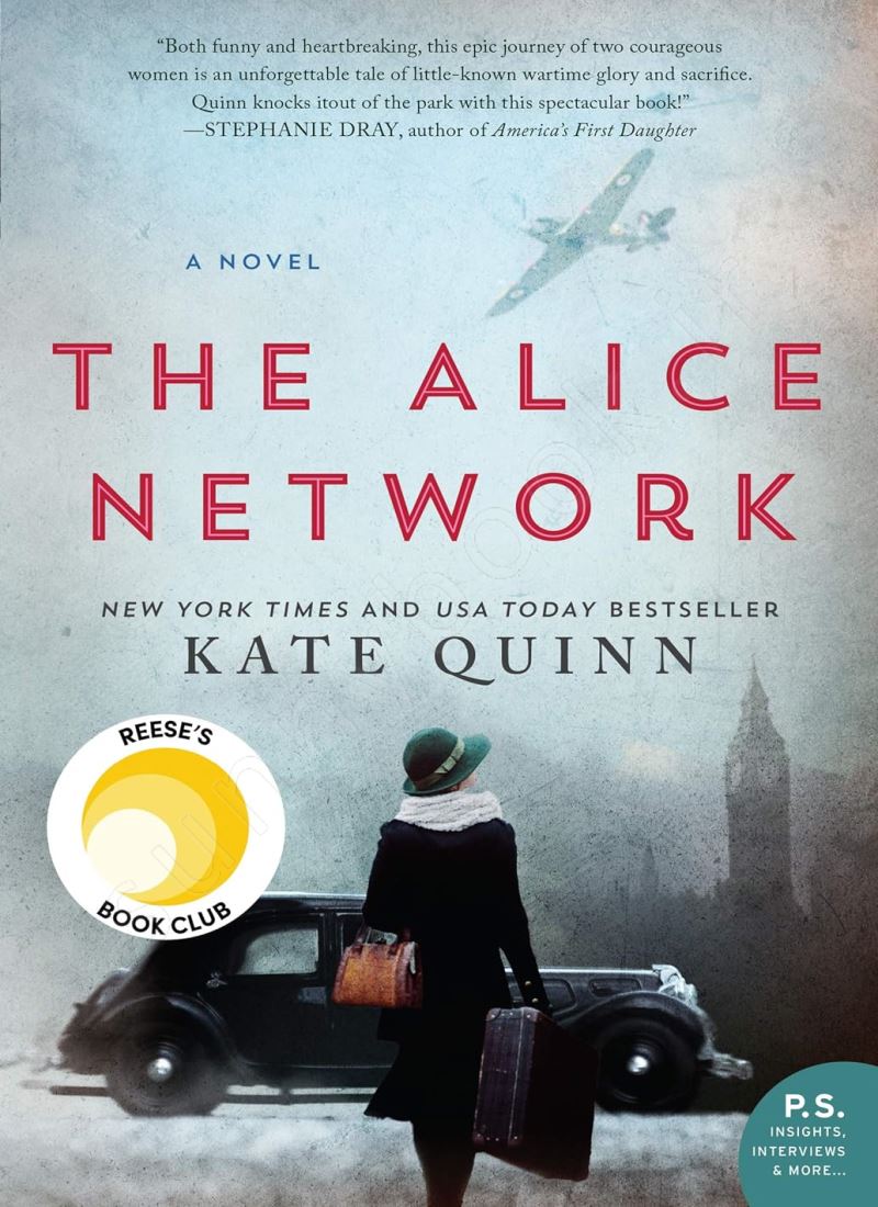 The Alice Network Model.Title