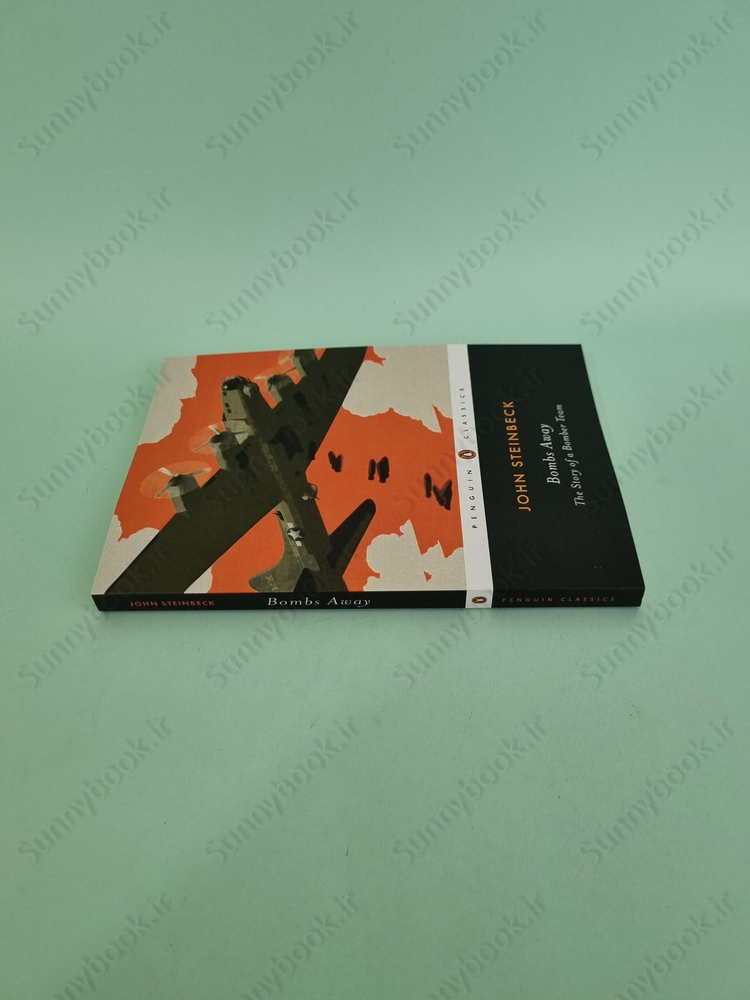 Bombs Away: The Story of a Bomber Team main 1 4