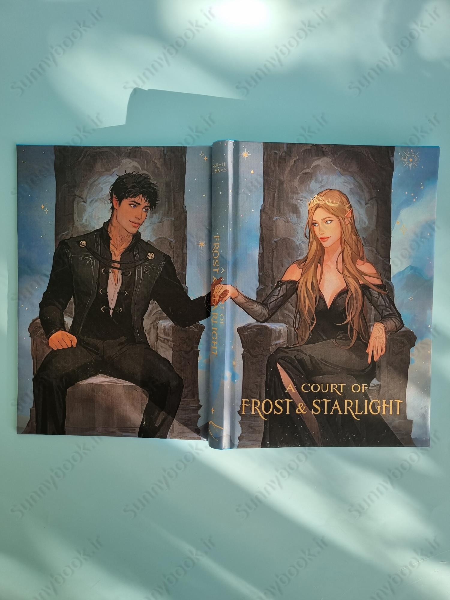 A Court of Frost and Starlight book 3.5 main 1 6