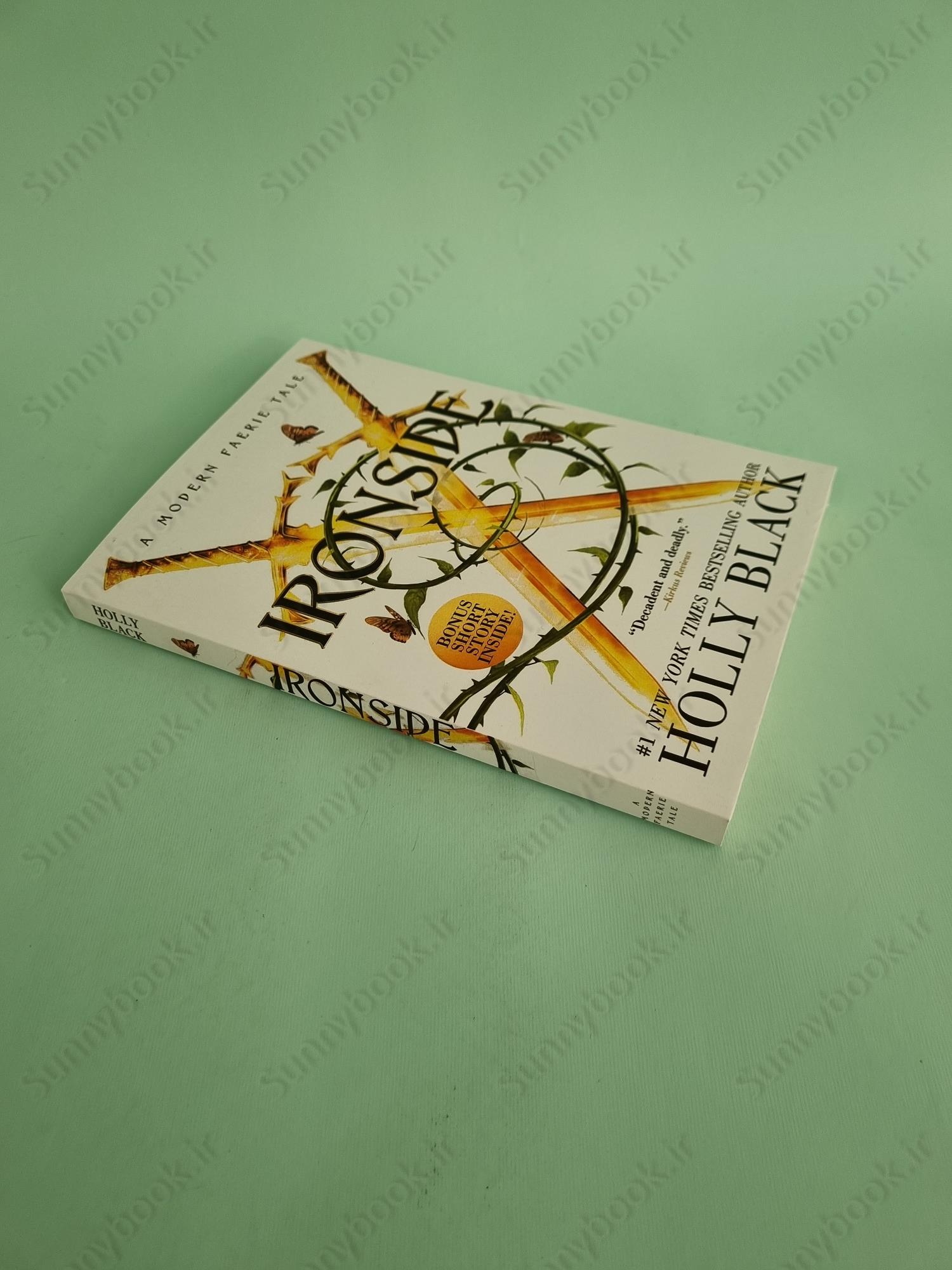 Ironside (Modern Faerie Tales 3) main 1 3