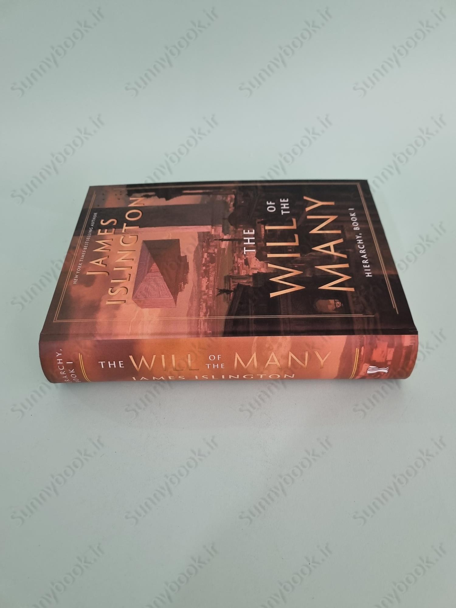 The Will of the Many (Hierarchy Book 1) main 1 4