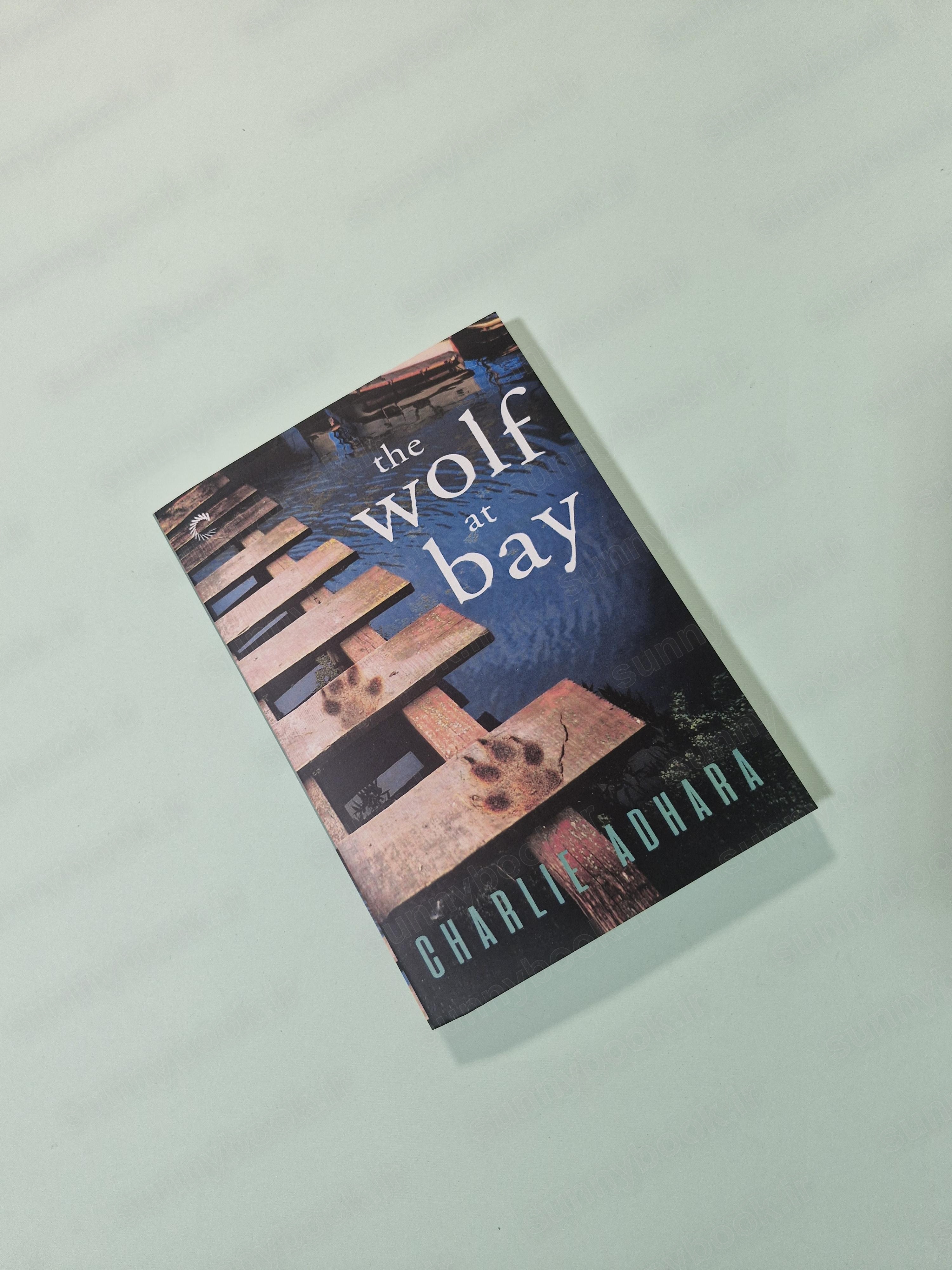 The Wolf at Bay (Big Bad Wolf 2) main 1 2