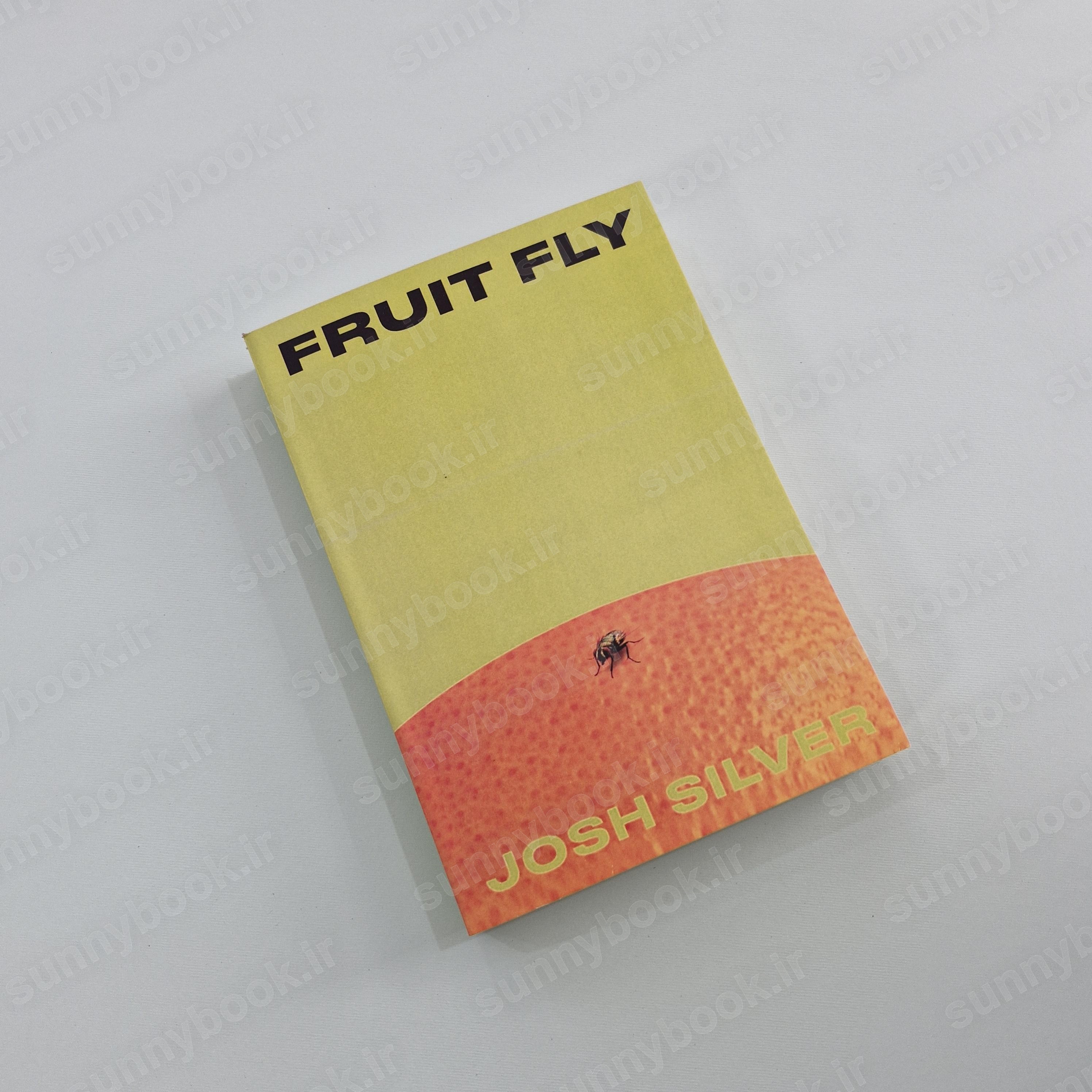 Fruit Fly main 1 2